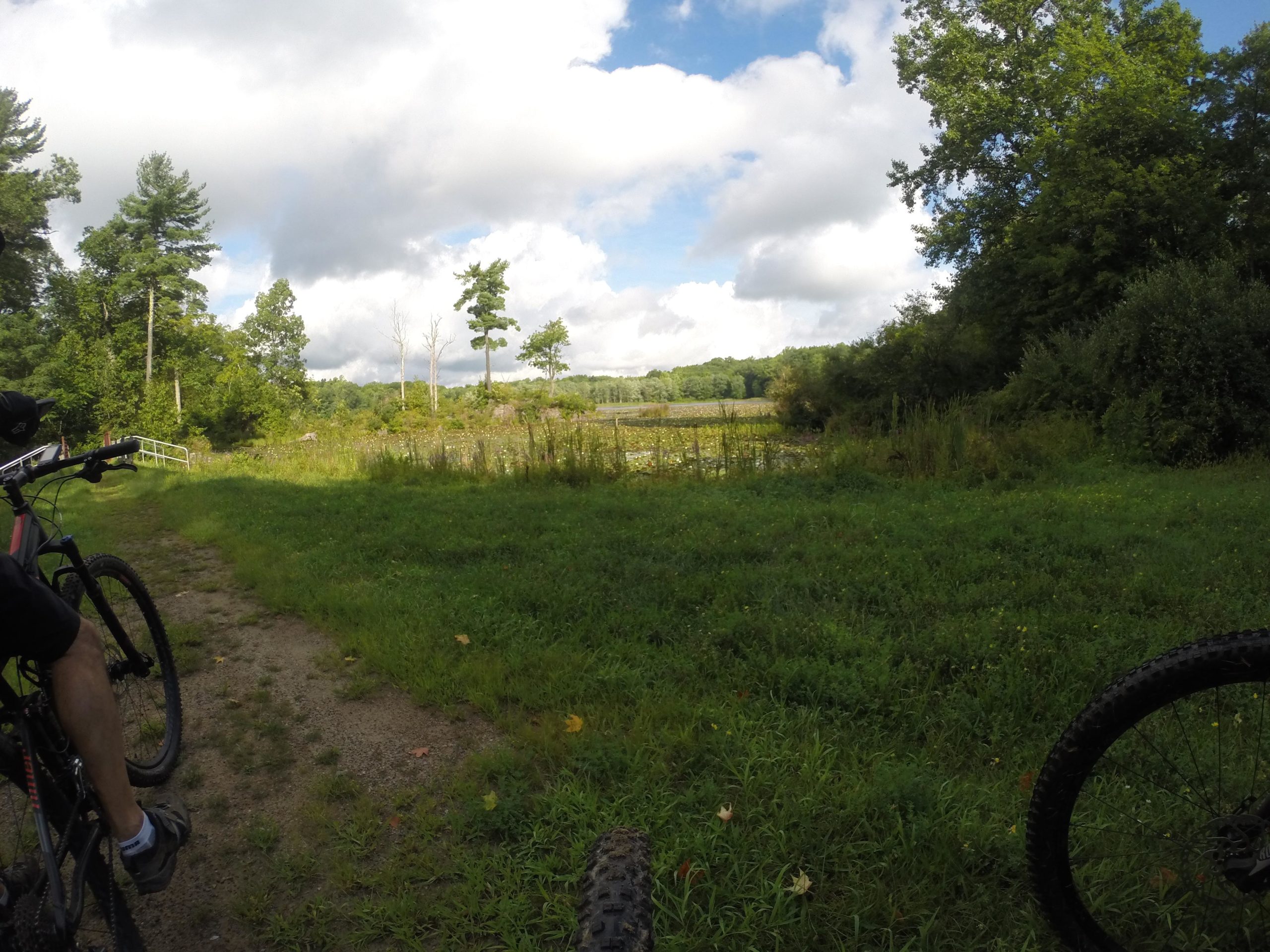 A scenic view of a grassy pathway leading to a tranquil body of water, surrounded by lush green trees and under a partly cloudy sky. A mountain bike is parked nearby, indicating a recreational area ideal for cycling and enjoying nature. Kittatiny Valley State Park mountain bike trail.