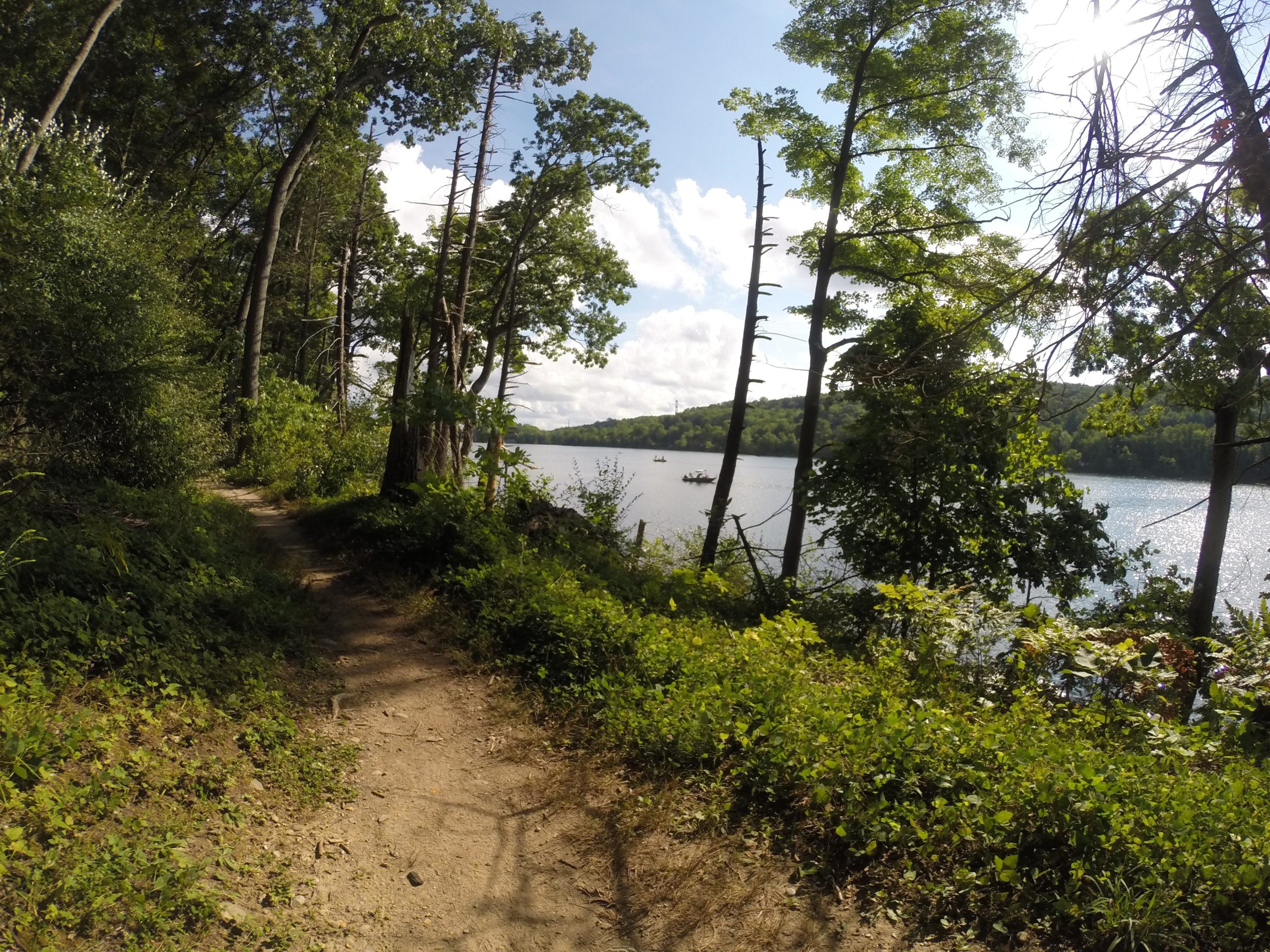 A winding dirt path leading through lush greenery alongside a serene lake, with large trees on either side and a cloudy blue sky overhead. A small boat can be seen on the water in the distance. Kittatiny Valley State Park mountain bike trail.