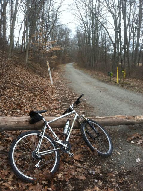 Gary Fisher Wahoo: A mountain bike resting on a log near a gravel path surrounded by bare trees and fallen leaves, indicating a serene, autumn landscape. The path leads further into the woods, with a signpost and yellow markers visible in the background.