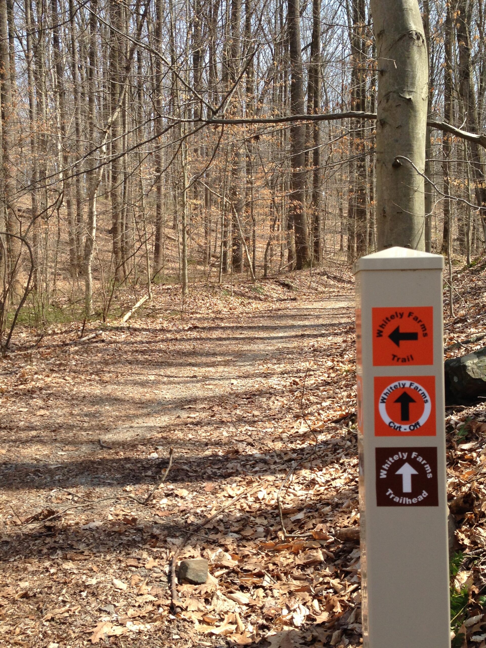 A forested trail marked by a signpost indicating directions for the Whitley Farms Trail and its cut-off. The path is covered in fallen leaves, winding through trees with bare branches, suggesting early spring or late fall. White Clay Creek mountain bike trail.