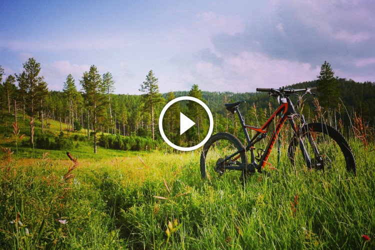 A mountain bike resting on lush green grass, surrounded by tall trees and a clear blue sky, suggesting a beautiful day for outdoor adventures.