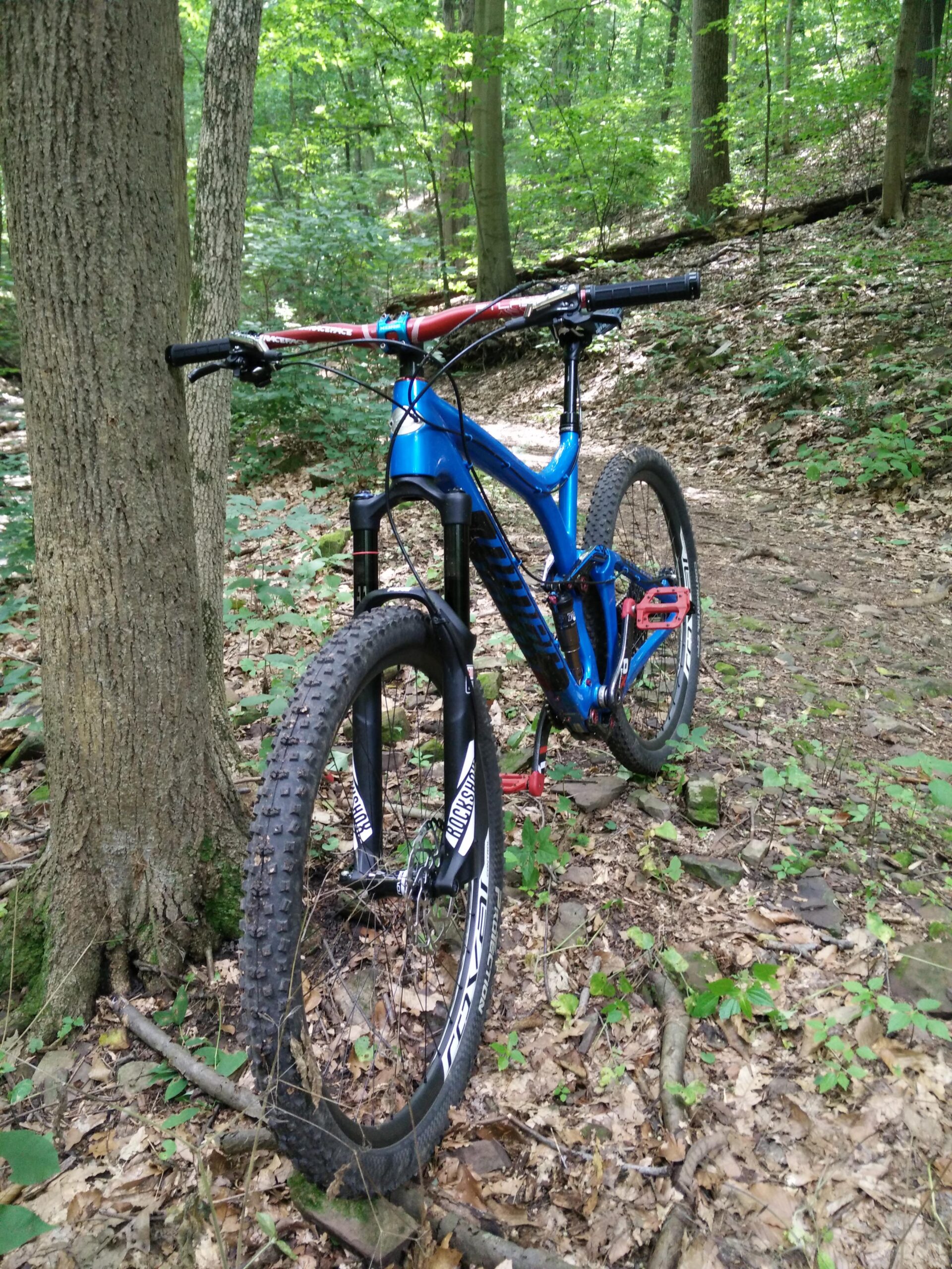 Niner R.I.P. 9 RDO: A mountain bike with a blue frame and red handlebars is parked next to a tree on a dirt trail surrounded by green foliage and leaves. The scene captures a peaceful moment in a forested area, highlighting the bike's rugged tires and suspension components.