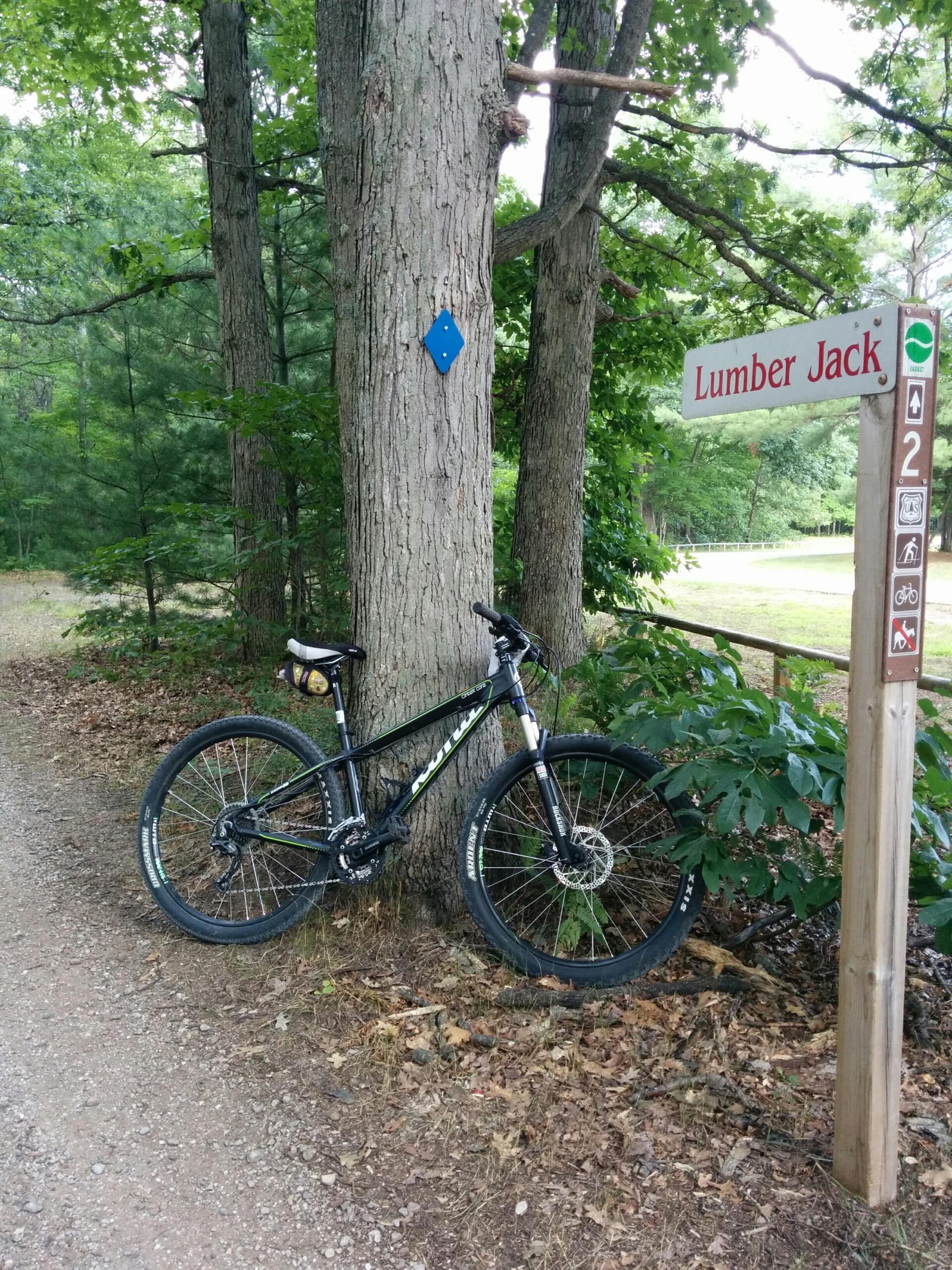 Kona Cinder Cone: A black mountain bike resting against a tree along a gravel trail. A blue diamond trail marker is visible on the tree, and a wooden sign labeled "Lumber Jack" is positioned nearby, indicating the trail name. Lush green foliage surrounds the area, with a clear path leading into the distance.