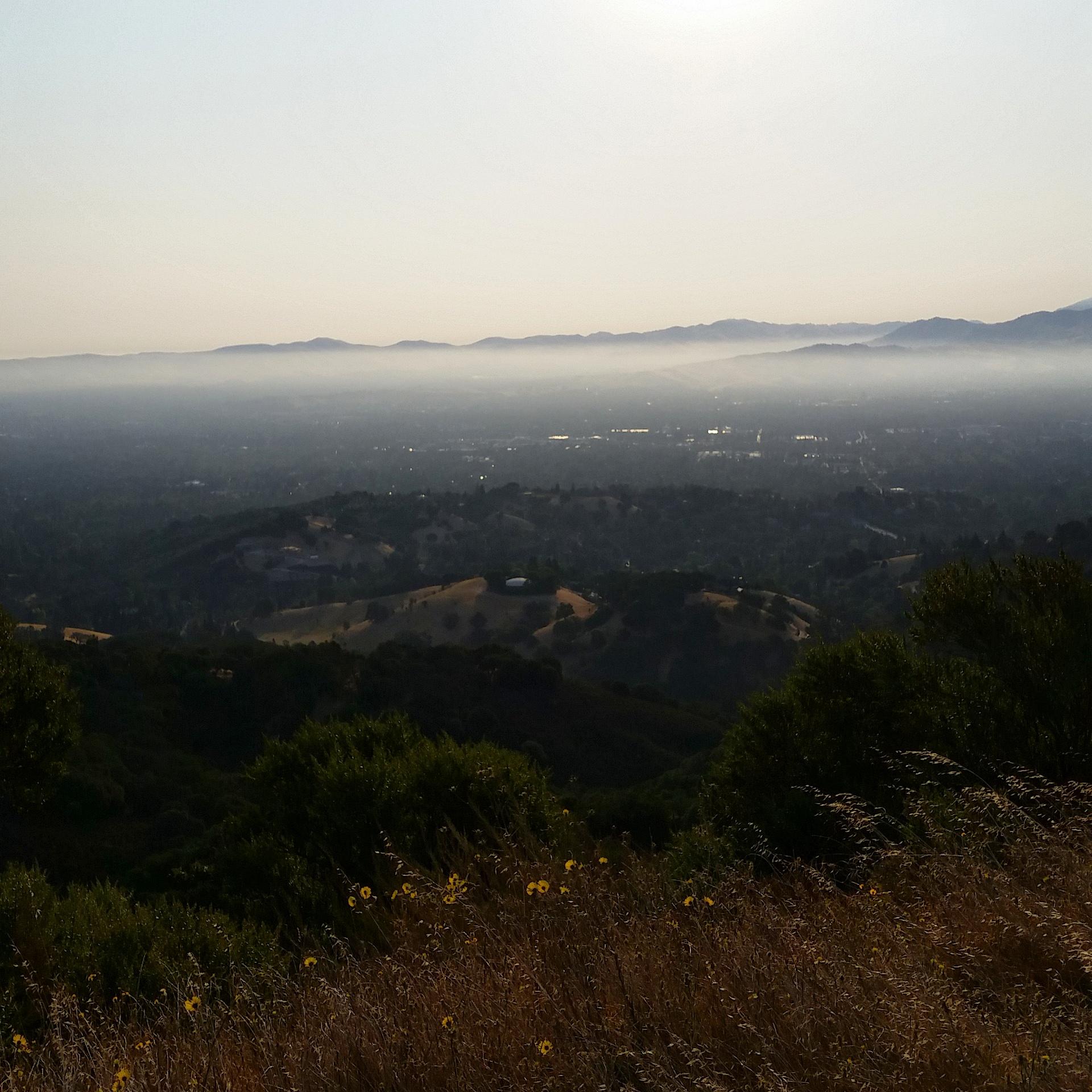 A panoramic view of a valley shrouded in morning fog, with distant mountains partially obscured by haze. The foreground features grassy hills with patches of wildflowers, while the background showcases a landscape of trees and open fields beneath a soft, hazy sky. The sun is low, casting a gentle light over the scene. Briones Regional Park mountain bike trail.