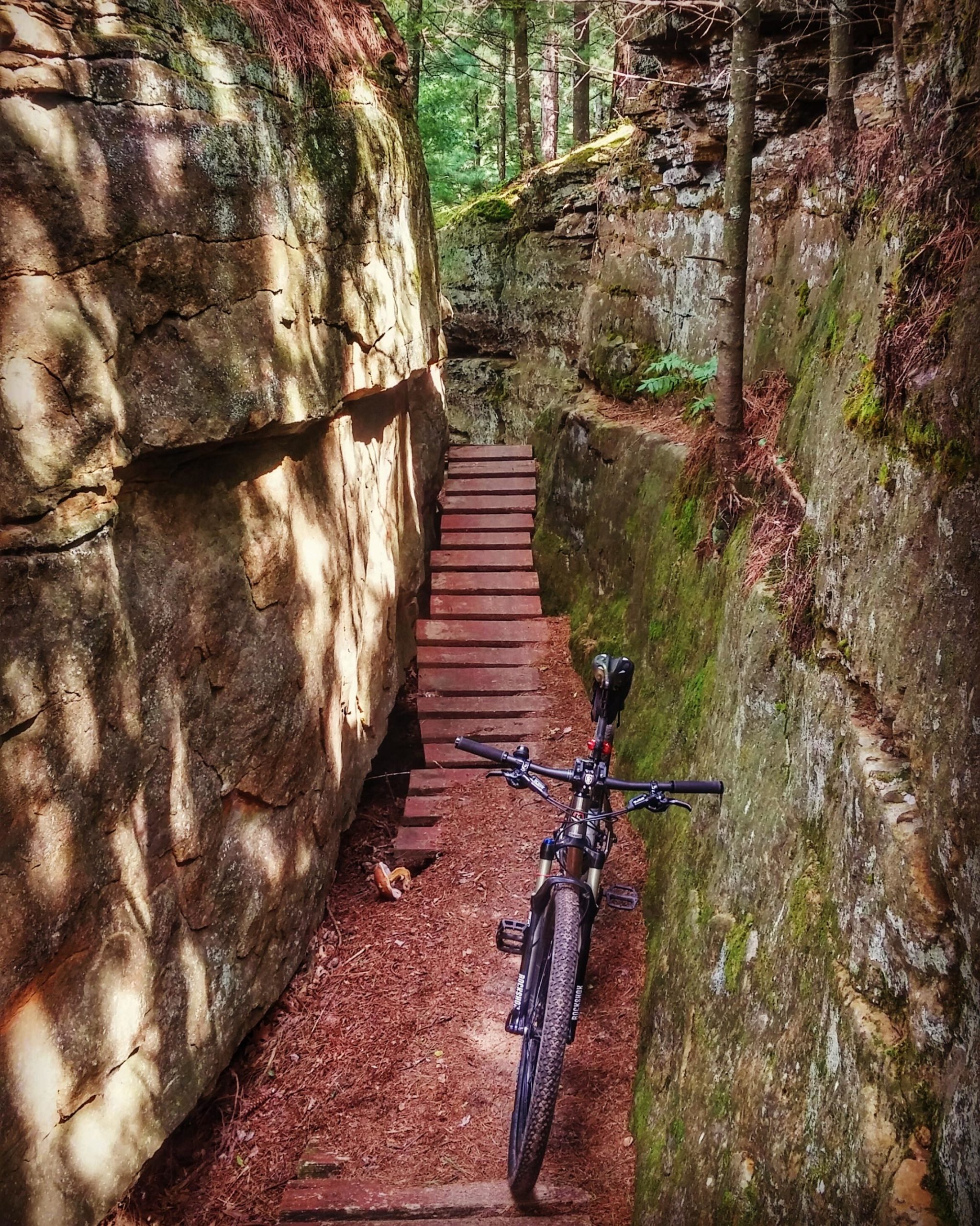 A mountain bike resting on a narrow path between steep rock walls, with wooden planks forming a bridge over the ground. Sunlight filters through the trees overhead, casting shadows on the trail, which is surrounded by lush greenery and scattered pine needles. Levis Mounds mountain bike trail.