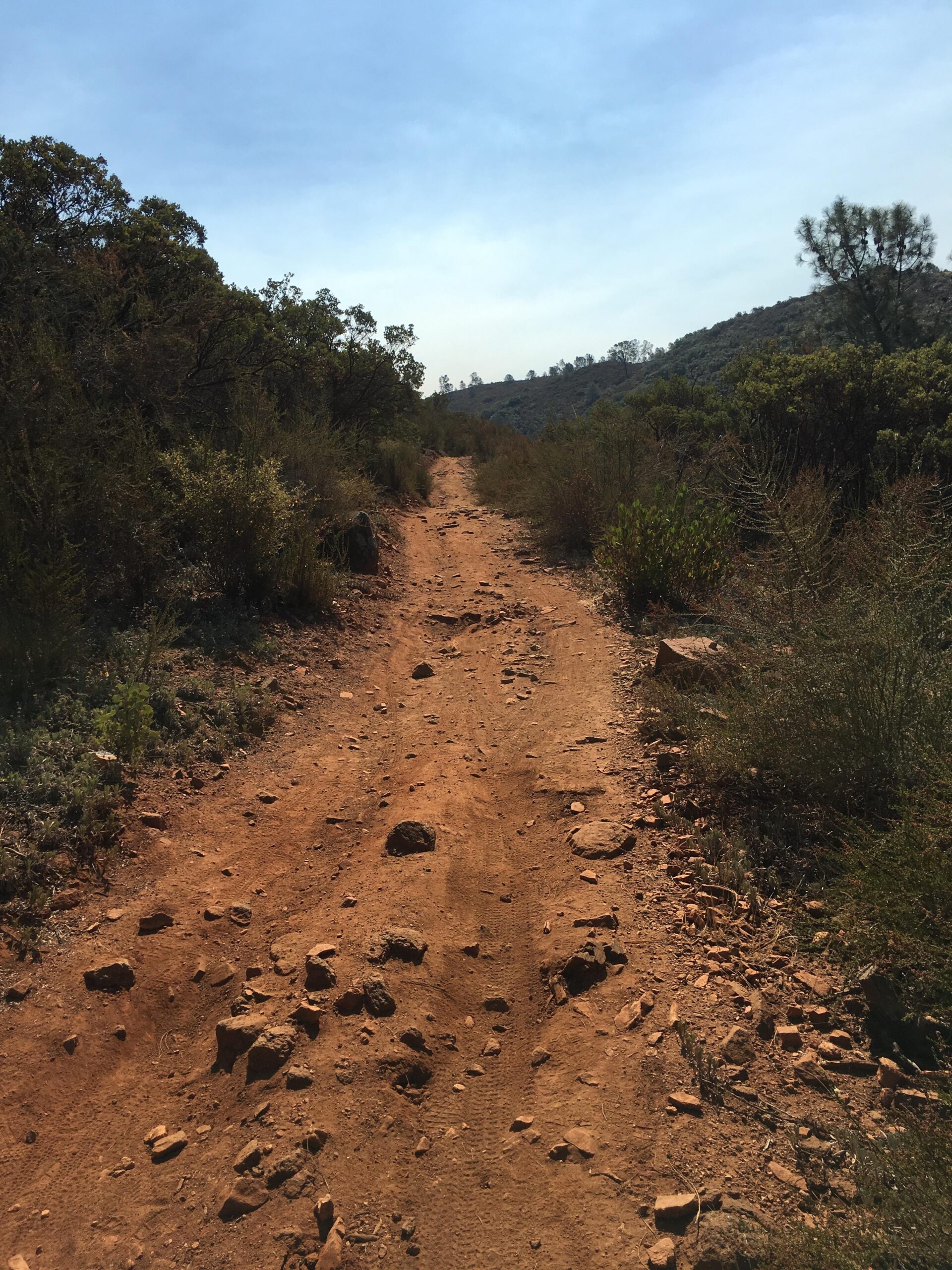 A rocky dirt trail winding through a natural landscape, surrounded by sparse vegetation and hills in the background under a clear blue sky. Skunk Hollow/ S Fork American River Trail mountain bike trail.