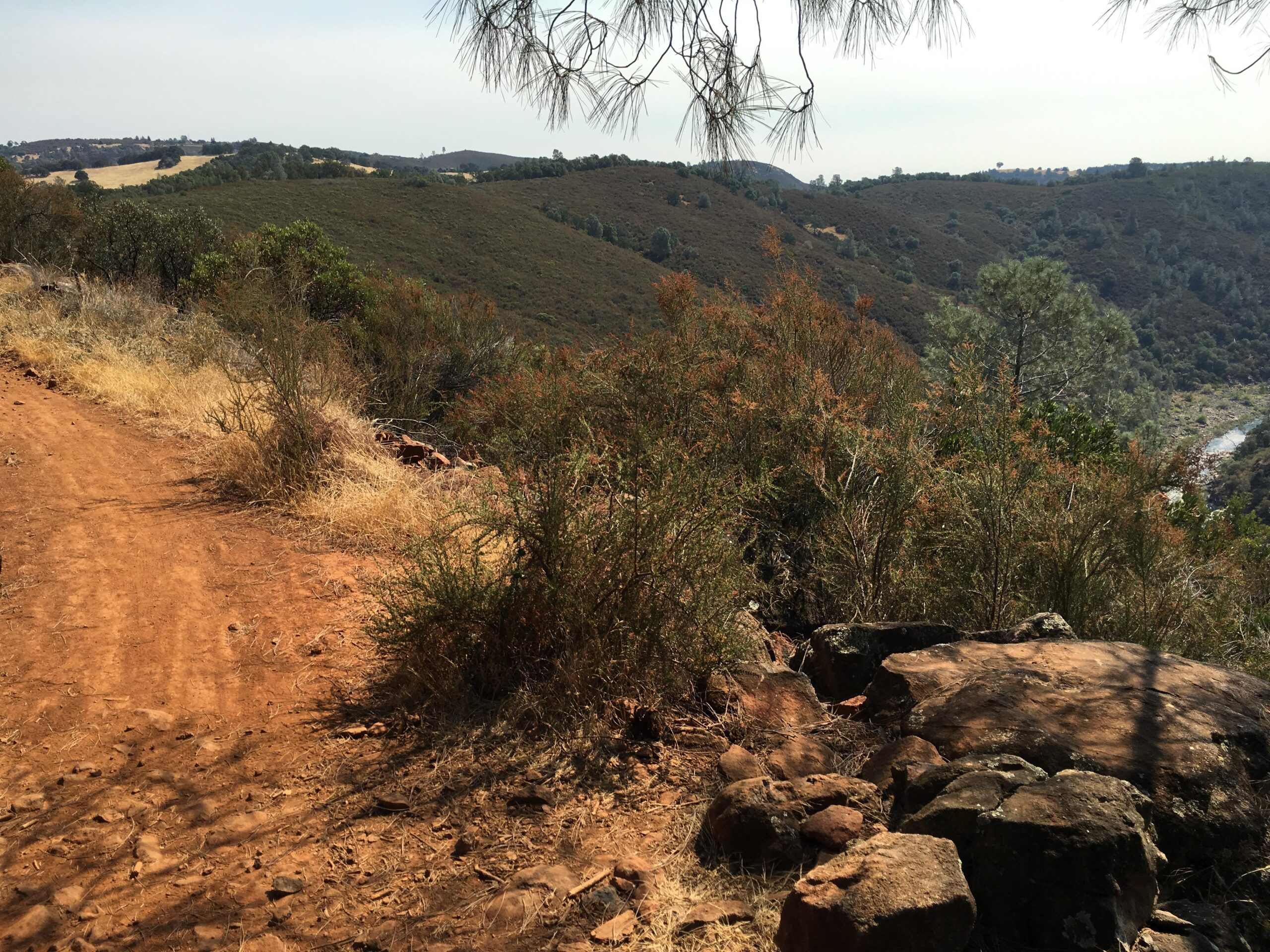A scenic view of a dirt path winding through green hills and rocky terrain, with dry grass and shrubs on either side. The landscape features rolling hills in the background, partly covered with trees, and a river visible at the base of the hills. The sky is bright with a hint of haze. Skunk Hollow/ S Fork American River Trail mountain bike trail.