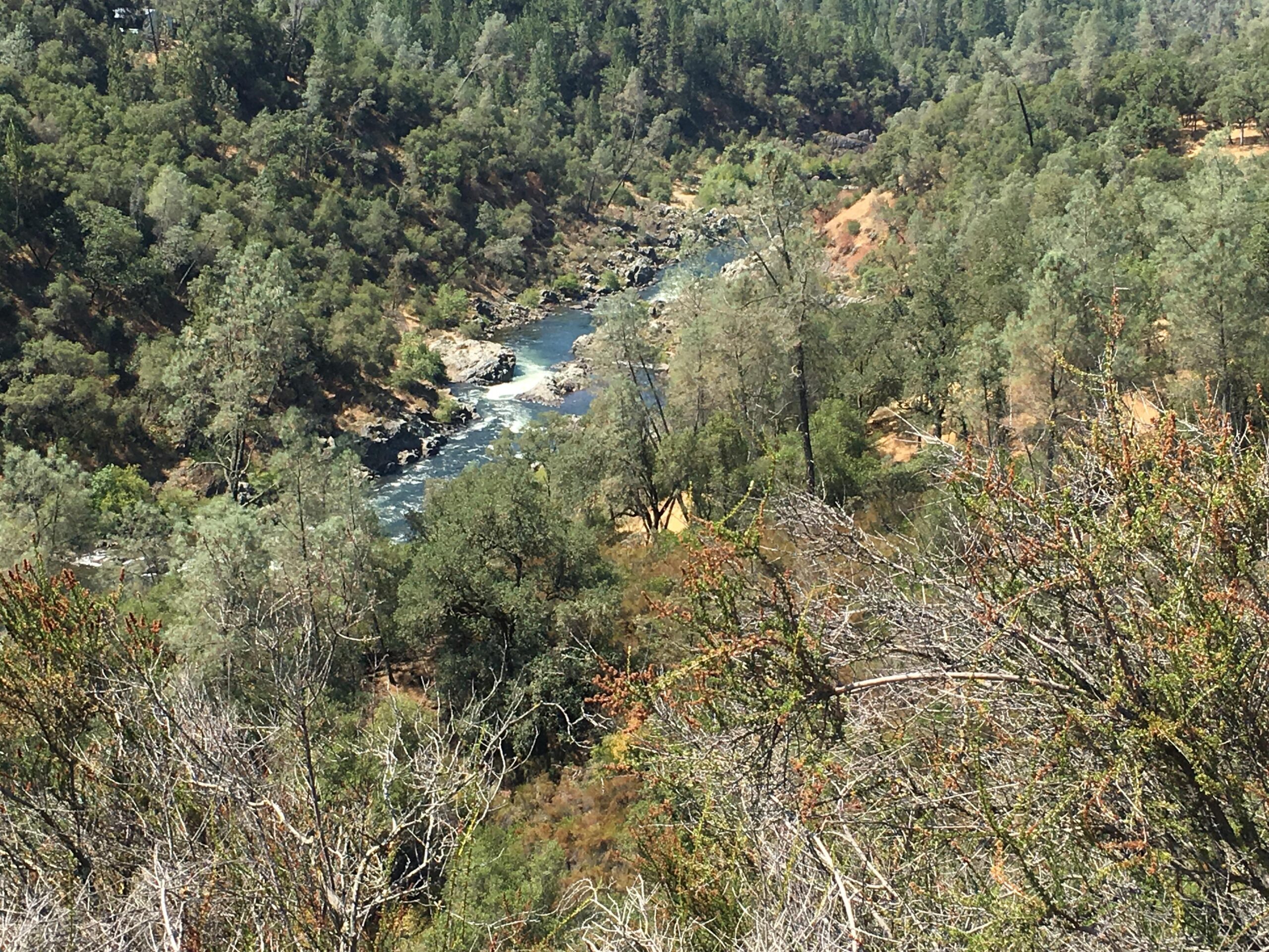 A scenic view of a winding river surrounded by lush greenery and rocky banks, set in a natural landscape with dense trees and shrubs. The sunlight casts gentle shadows, highlighting the vibrant colors of the flora. Skunk Hollow/ S Fork American River Trail mountain bike trail.