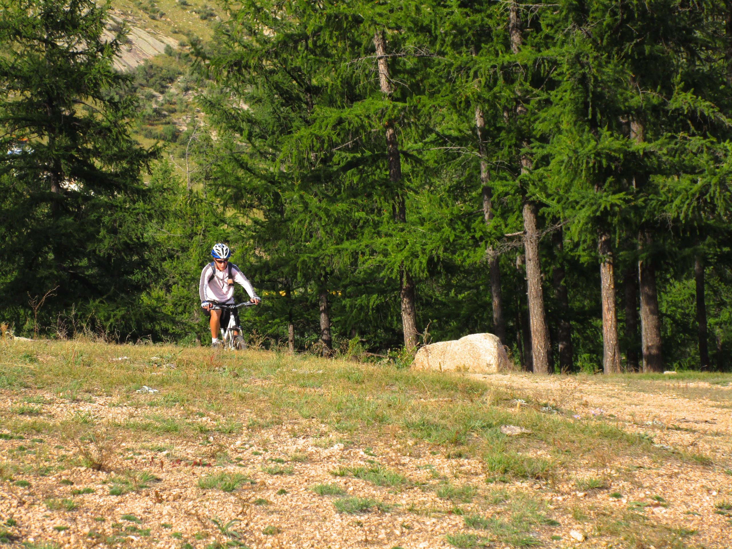 A mountain biker riding on a grassy trail surrounded by tall green trees and rocky terrain. Camel Run mountain bike trail.