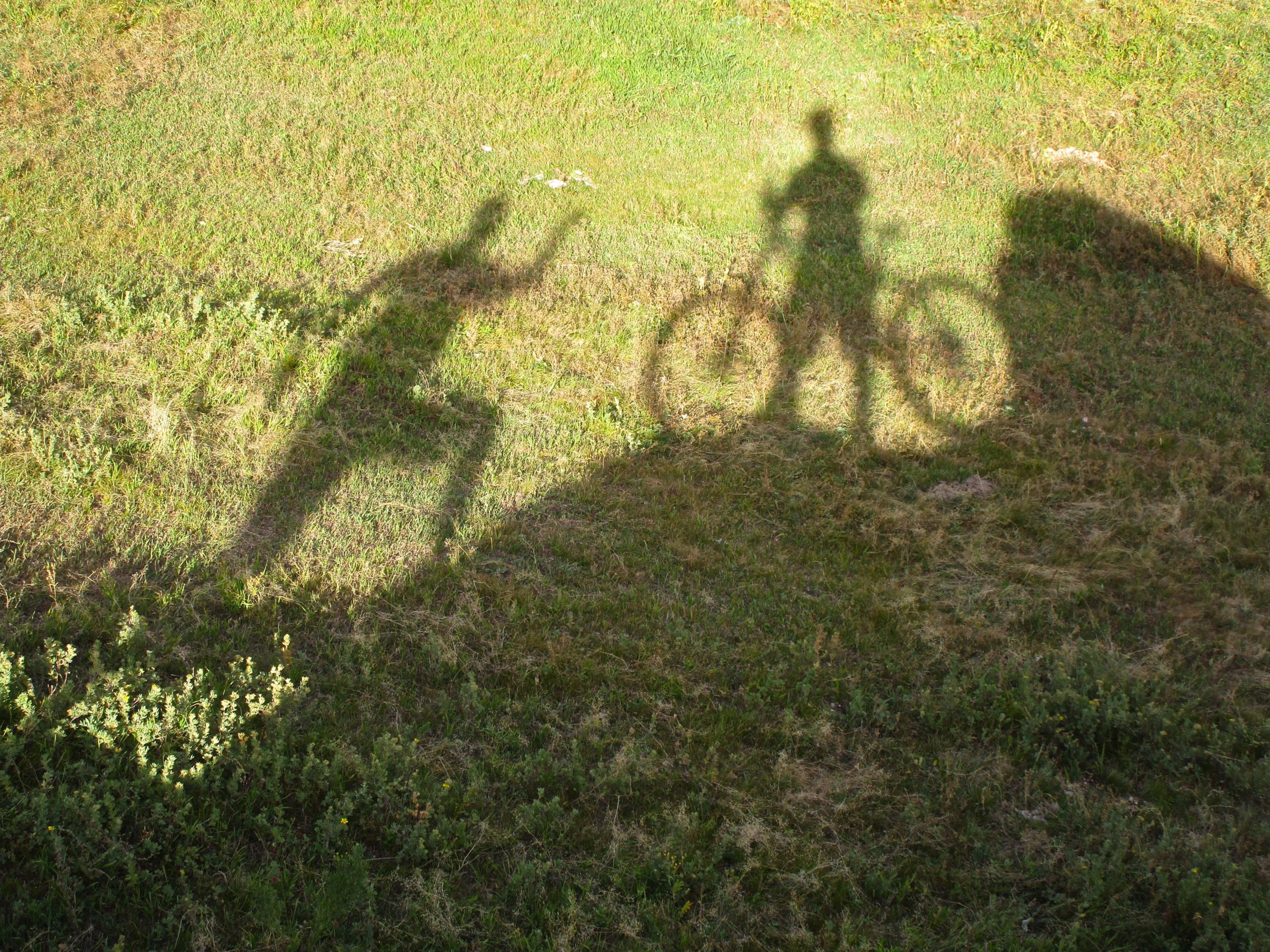 A grassy area showing long shadows cast by a person standing next to a bicycle. One shadow depicts the person making a triumphant gesture with their hands raised, while the other shadow represents the person holding the bicycle. The background features a mix of green grass and small plants. Camel Run mountain bike trail.