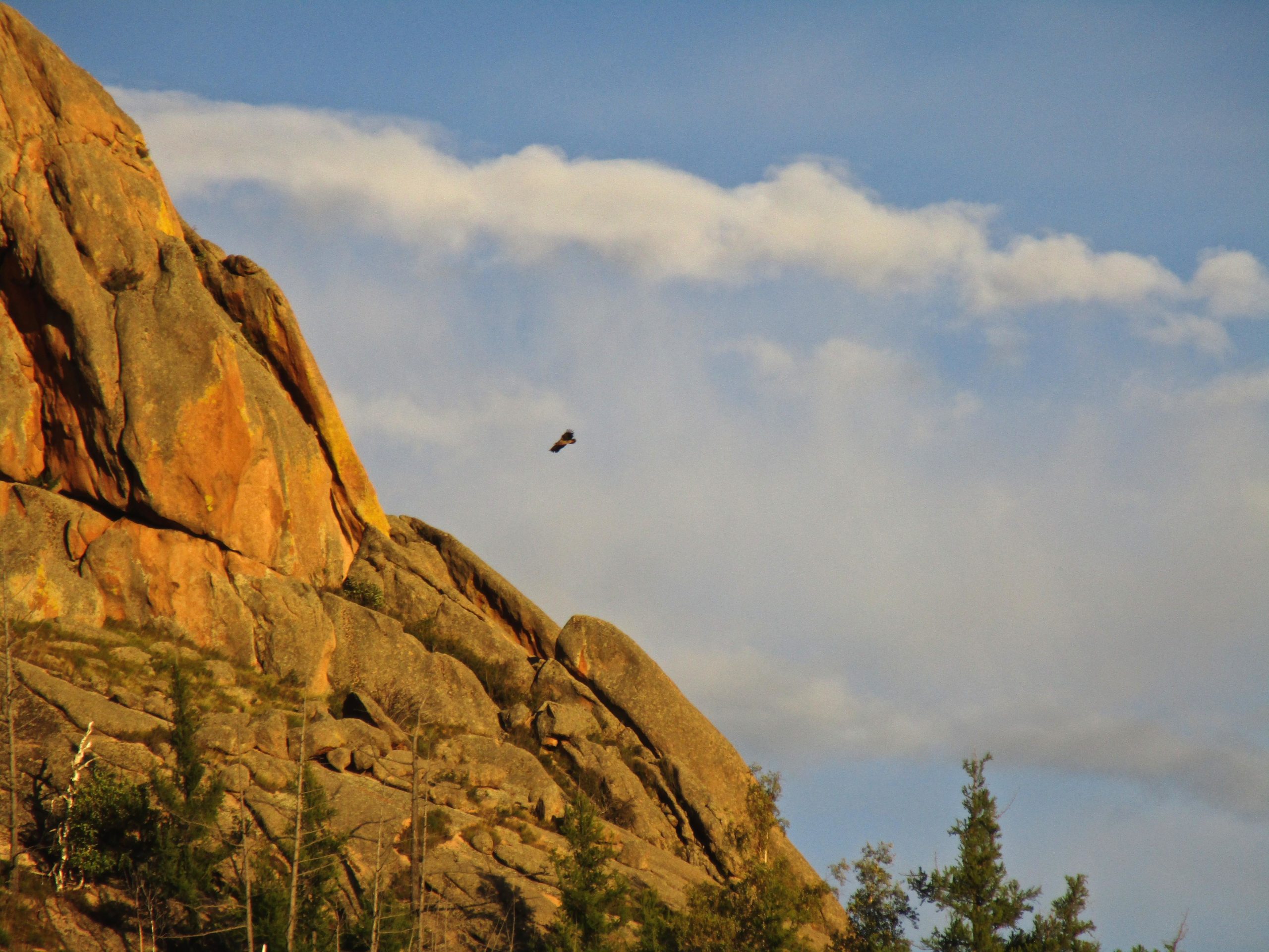 A bird soaring above rugged rock formations under a blue sky with scattered clouds. Green trees are visible in the foreground, adding to the natural landscape. Camel Run mountain bike trail.
