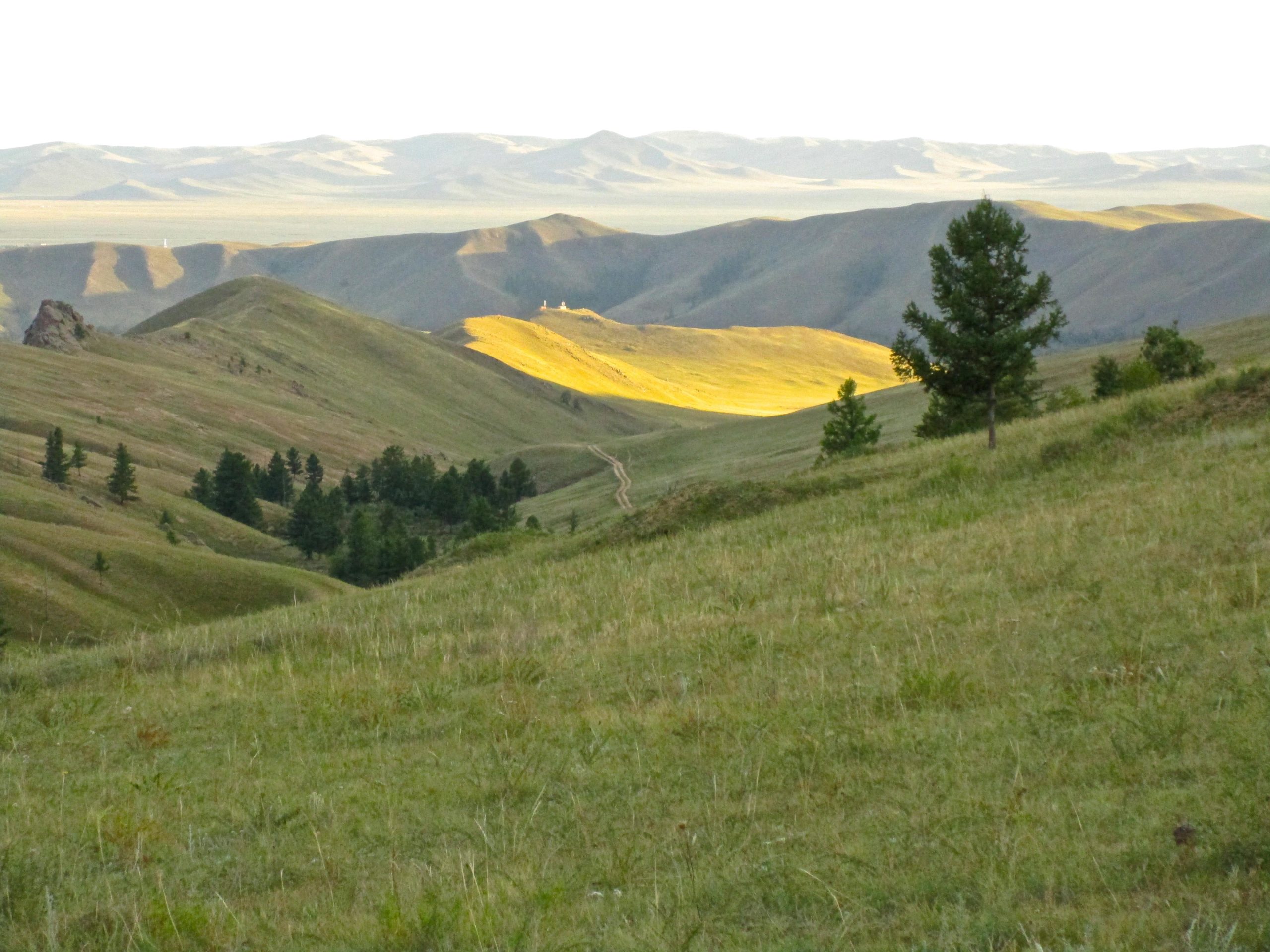 A panoramic view of rolling hills and valleys bathed in soft sunlight, with patches of grass and scattered trees. The landscape features gentle slopes and distant mountains under a clear sky. A dirt path winds through the hills, leading deeper into the serene countryside. Camel Run mountain bike trail.