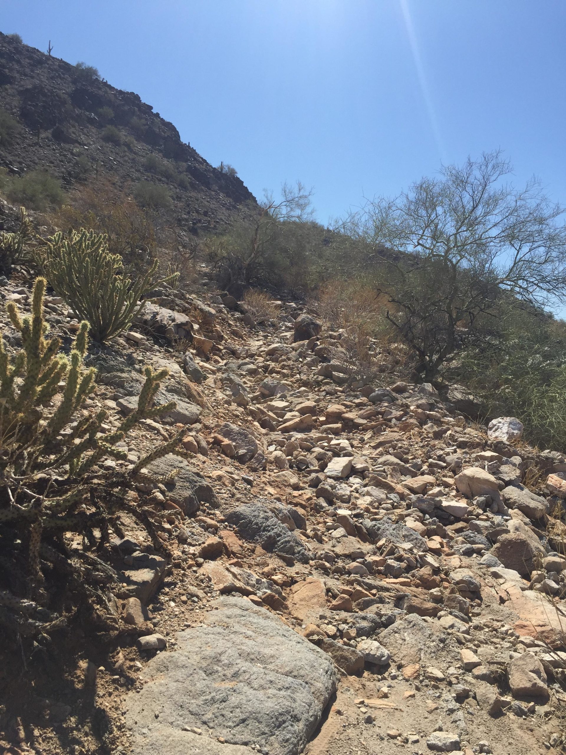 Rocky trail in a desert landscape with scattered boulders, shrubs, and a clear blue sky overhead. The path leads up a slope covered in dry vegetation and small cacti, indicating a rugged outdoor setting. Estrella Mountain Park mountain bike trail.