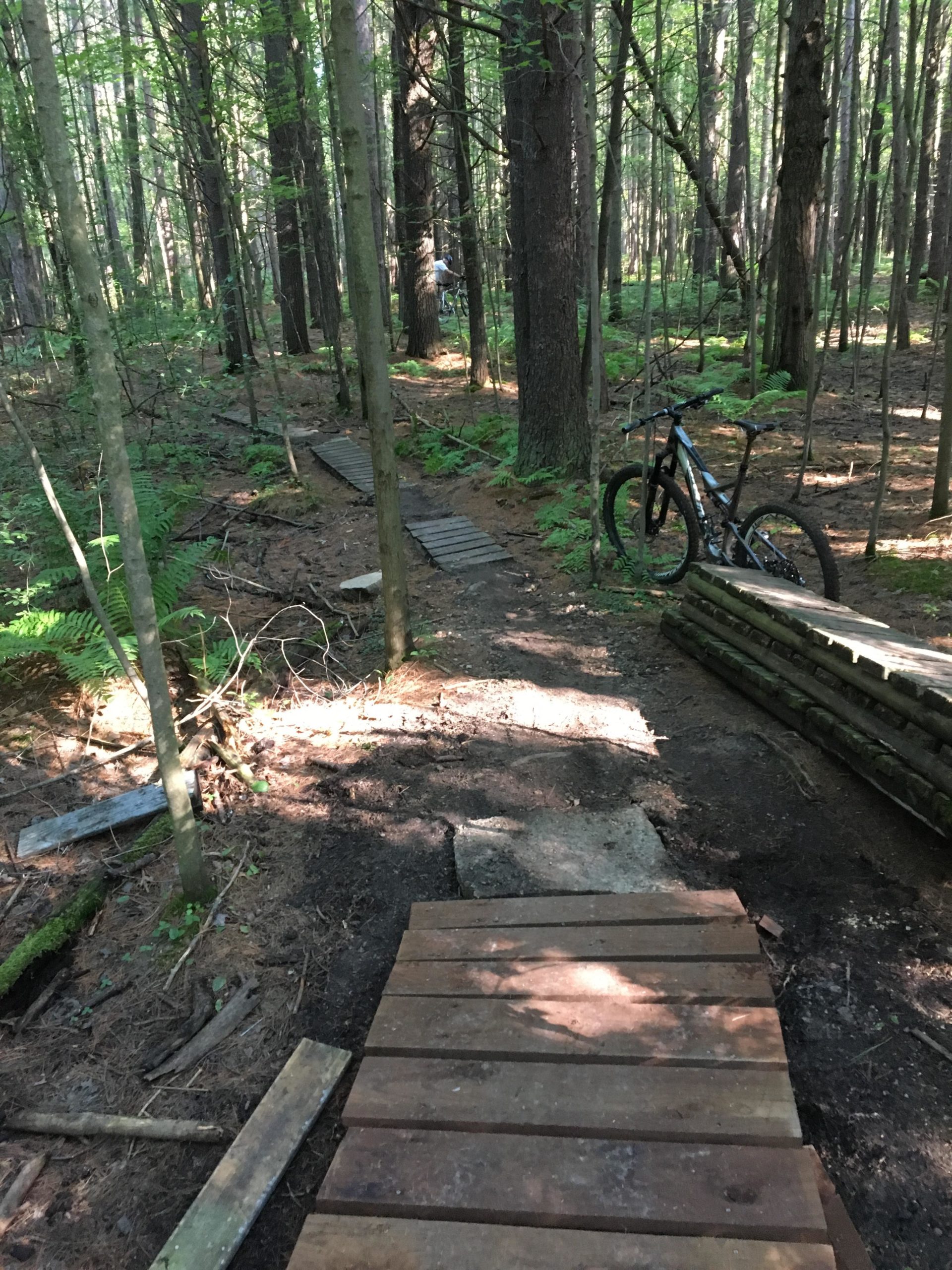 A winding dirt path through a dense forest with tall trees and ferns. Wooden planks create a narrow bridge along the trail, and a mountain bike is leaning against the wooden structure. Sunlight filters through the leaves, casting dappled shadows on the ground. Midland City Forest mountain bike trail.
