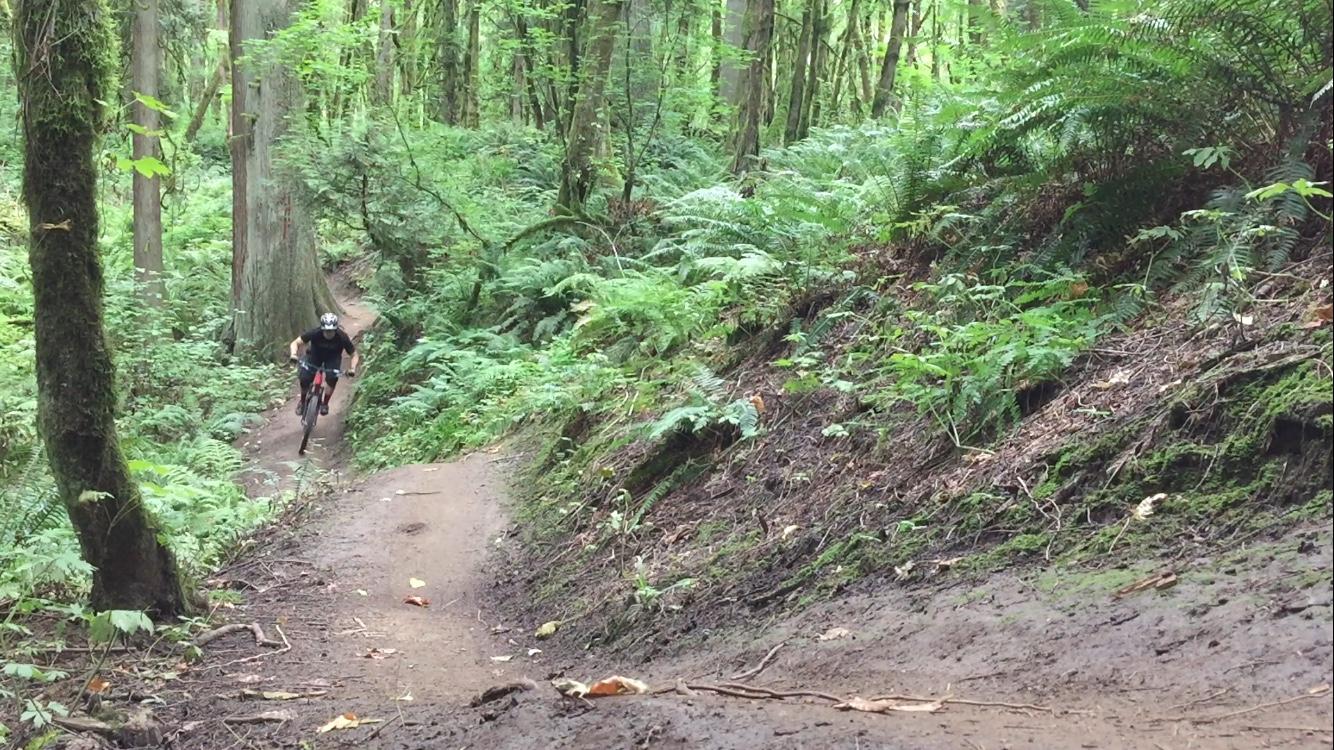 A mountain biker riding down a narrow dirt trail through a lush green forest, surrounded by tall trees and ferns. Round Lake mountain bike trail.
