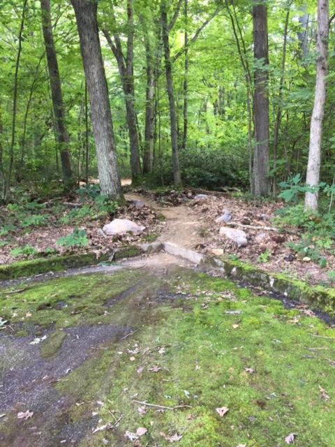 A peaceful forest scene featuring a dirt path winding through a green, wooded area. The path, lined with small rocks, is surrounded by trees and lush foliage on either side, with moss-covered ground visible in the foreground. The Trails at Jakes Rocks mountain bike trail.