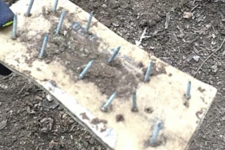 A wooden board with several screws protruding from its surface, partially covered in dirt, held by gloved hands against a backdrop of soil and debris.