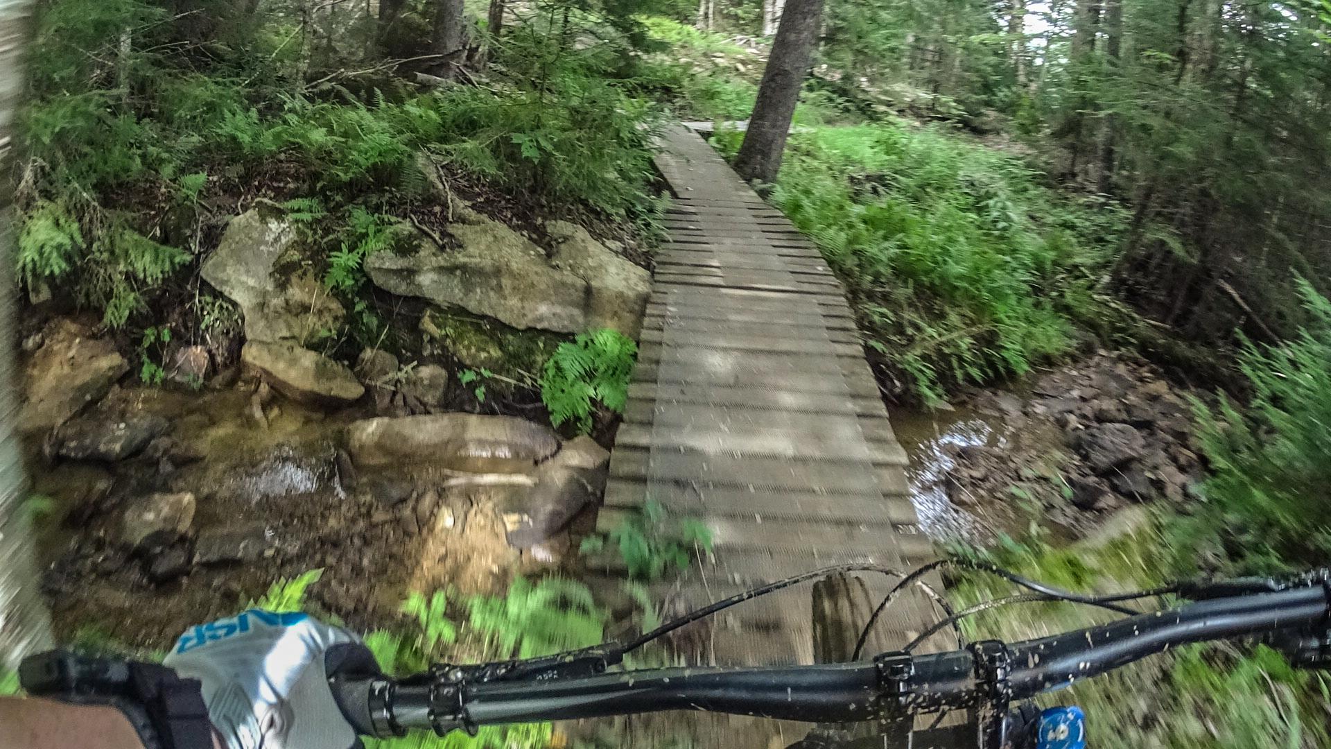 A blurred view of a mountain bike handlebars with a wooden bridge crossing a stream in a lush forested area, surrounded by green ferns and rocks. Snowshoe Bike Park mountain bike trail.