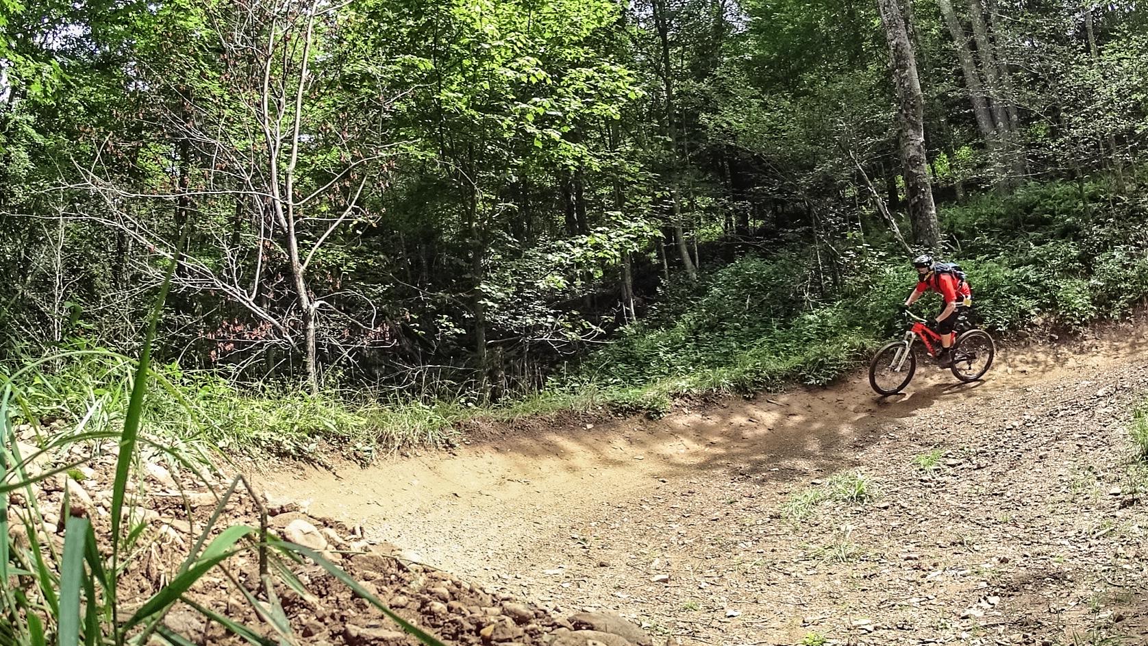A mountain biker in a red shirt rides along a dirt trail, surrounded by lush green trees and thick vegetation in a forested area. The path curves gently to the right, showing a natural, unpaved trail environment. Snowshoe Bike Park mountain bike trail.