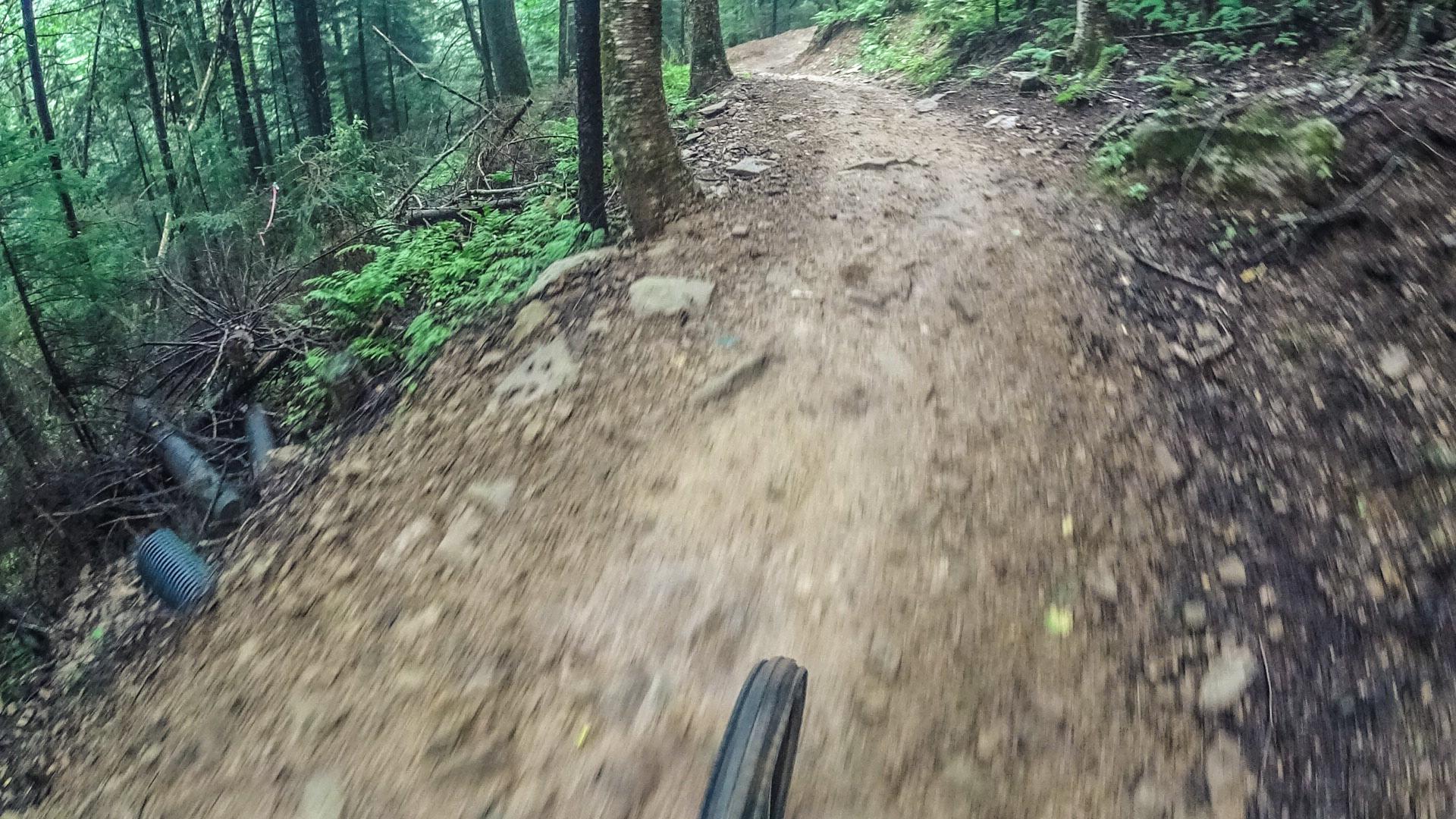 A blurry photograph of a dirt bike trail winding through a lush green forest, lined with trees and foliage, showcasing a close-up view of a bicycle tire approaching the path. Snowshoe Bike Park mountain bike trail.