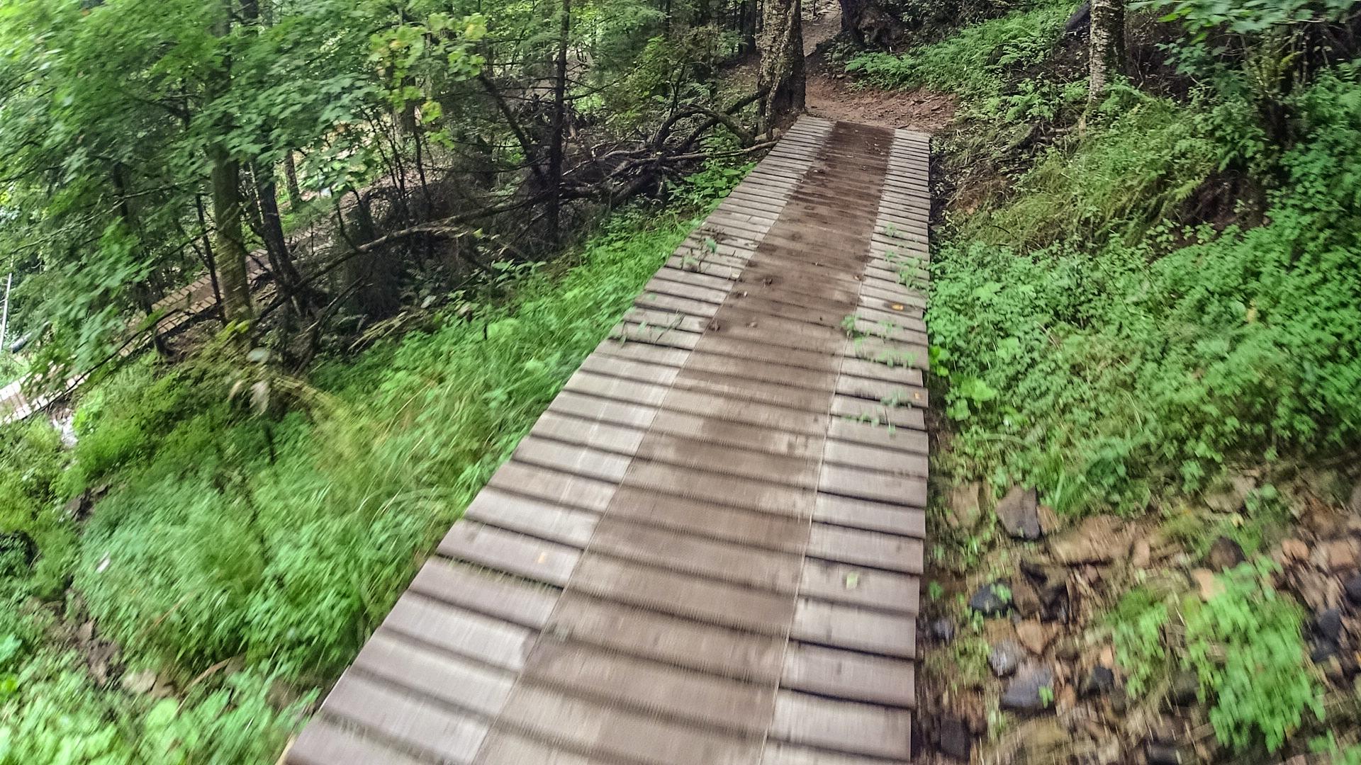 A wooden boardwalk path winding through a lush green forest, surrounded by trees and underbrush. The path appears slightly wet, suggesting a recent rain, with vibrant foliage on either side. Snowshoe Bike Park mountain bike trail.