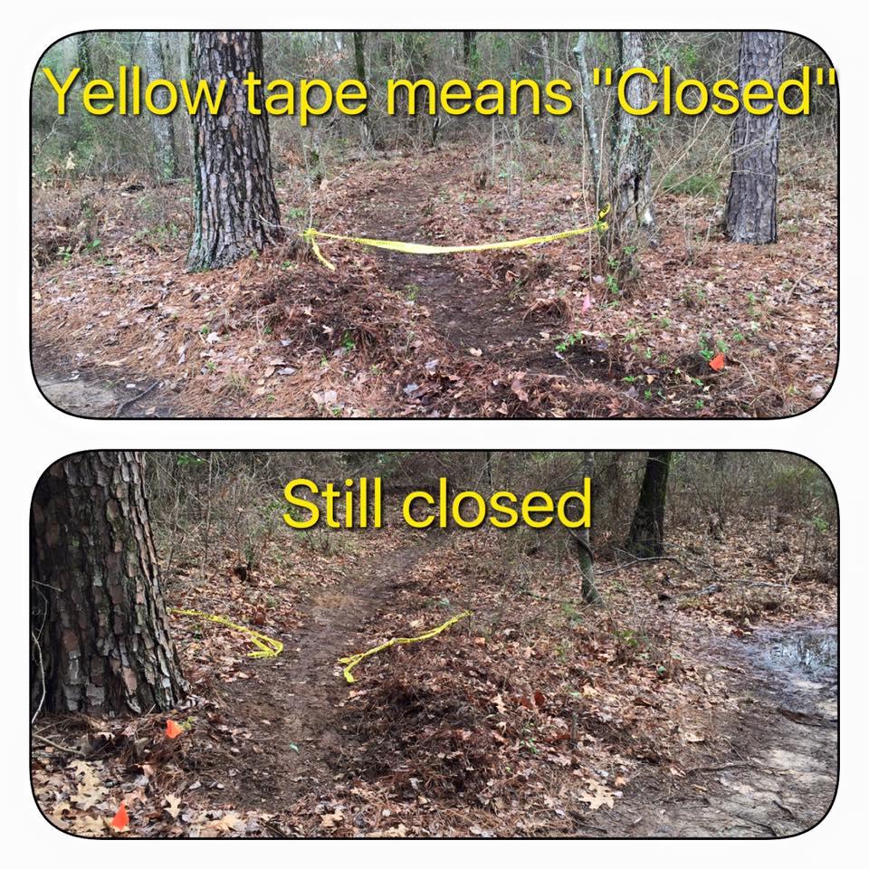 Image showing a trail marked as closed with yellow tape. The top part displays a section of the trail with the text "Yellow tape means 'Closed'", while the bottom section has the text "Still closed". Both images depict a wooded area with leaf litter and small flags indicating the trail's closure. Bringle Lake Mountain Bike Trail System mountain bike trail.