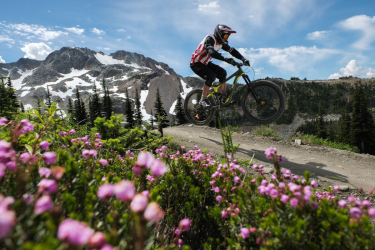 A mountain biker performs a jump on a dirt trail surrounded by green foliage and vibrant pink flowers, with snow-capped mountains and a blue sky in the background.