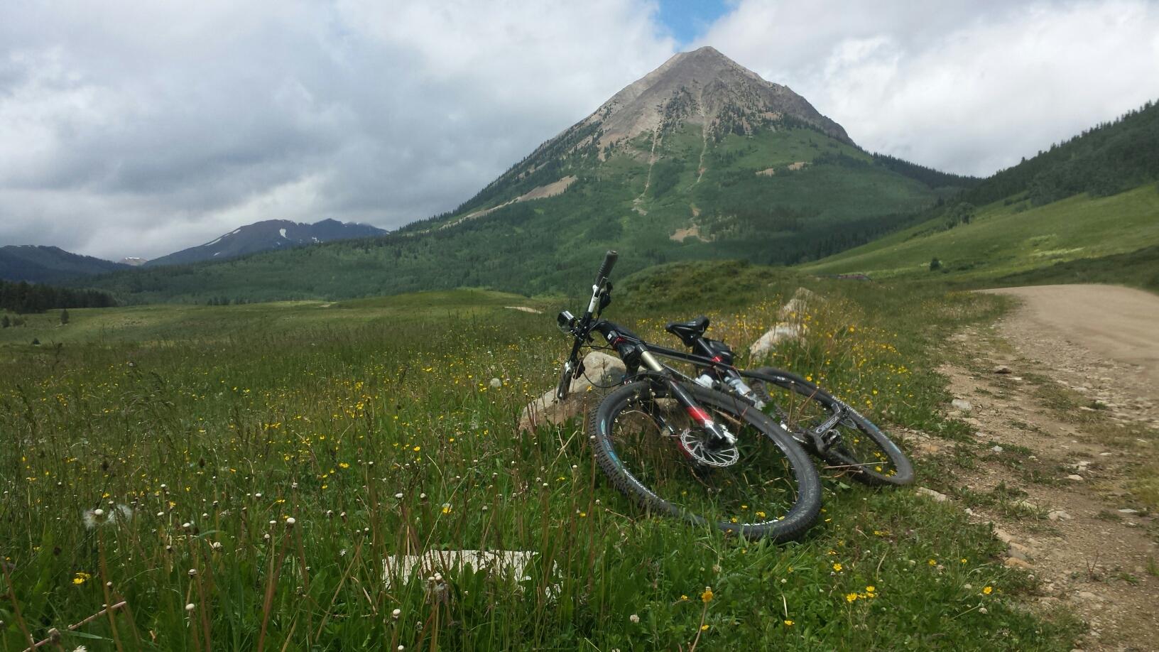 Two mountain bikes resting against a rock in a grassy meadow, with a lush green valley and a prominent mountain peak in the background under a partly cloudy sky. Bright wildflowers dot the foreground, enhancing the natural scenery. Snodgrass mountain bike trail.