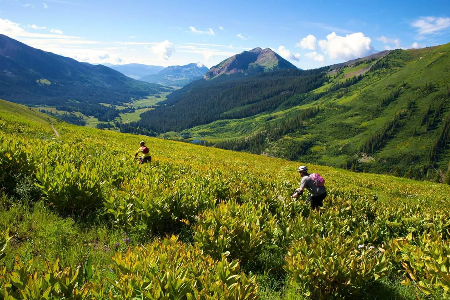 Two hikers navigate through a lush, green valley filled with tall vegetation, surrounded by rolling hills and mountains under a bright blue sky. The landscape features a mix of trees and open fields, illustrating the beauty of nature in this mountainous region. Trail 401 mountain bike trail.