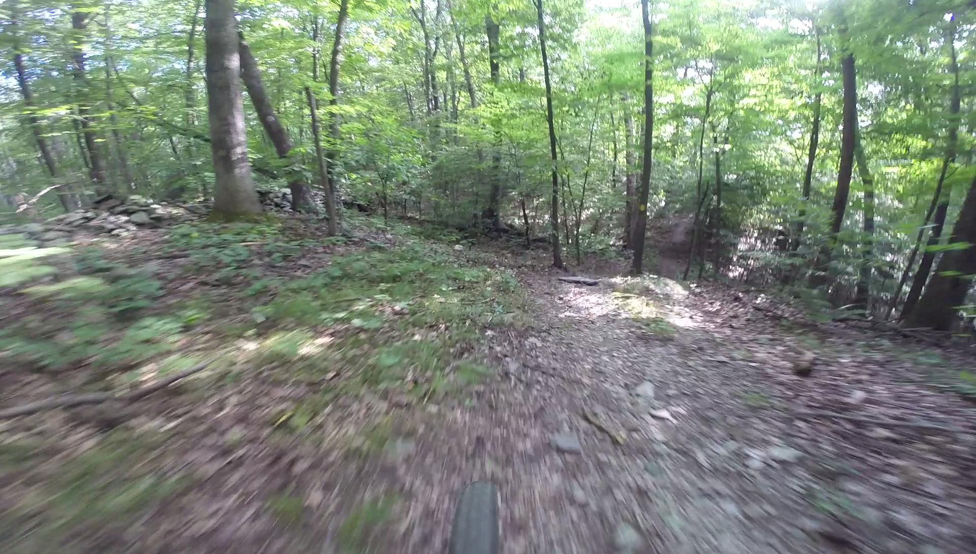 A blurred view of a mountain biking trail winding through a lush green forest, featuring trees, rocks, and a dirt path surrounded by foliage. Kittatiny Valley State Park mountain bike trail.