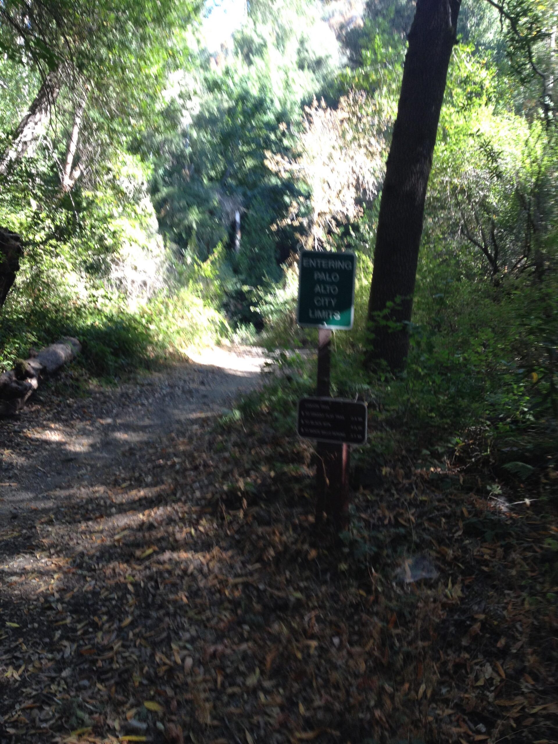 A gravel trail surrounded by lush greenery, featuring a sign indicating the entrance to the Palo Alto city limits. Sunlight filters through the trees, creating a serene, natural atmosphere. Monte Bello / Rancho San Antonio mountain bike trail.