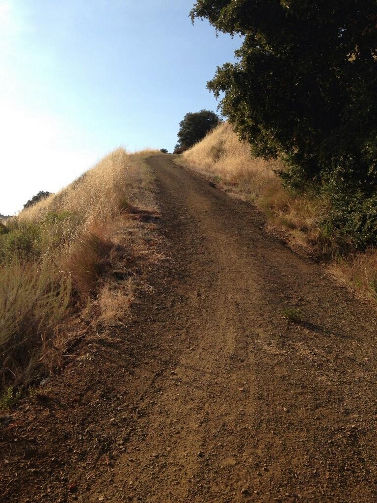 A dirt path winding uphill through golden grasses and sparse trees, under a clear blue sky. Monte Bello / Rancho San Antonio mountain bike trail.