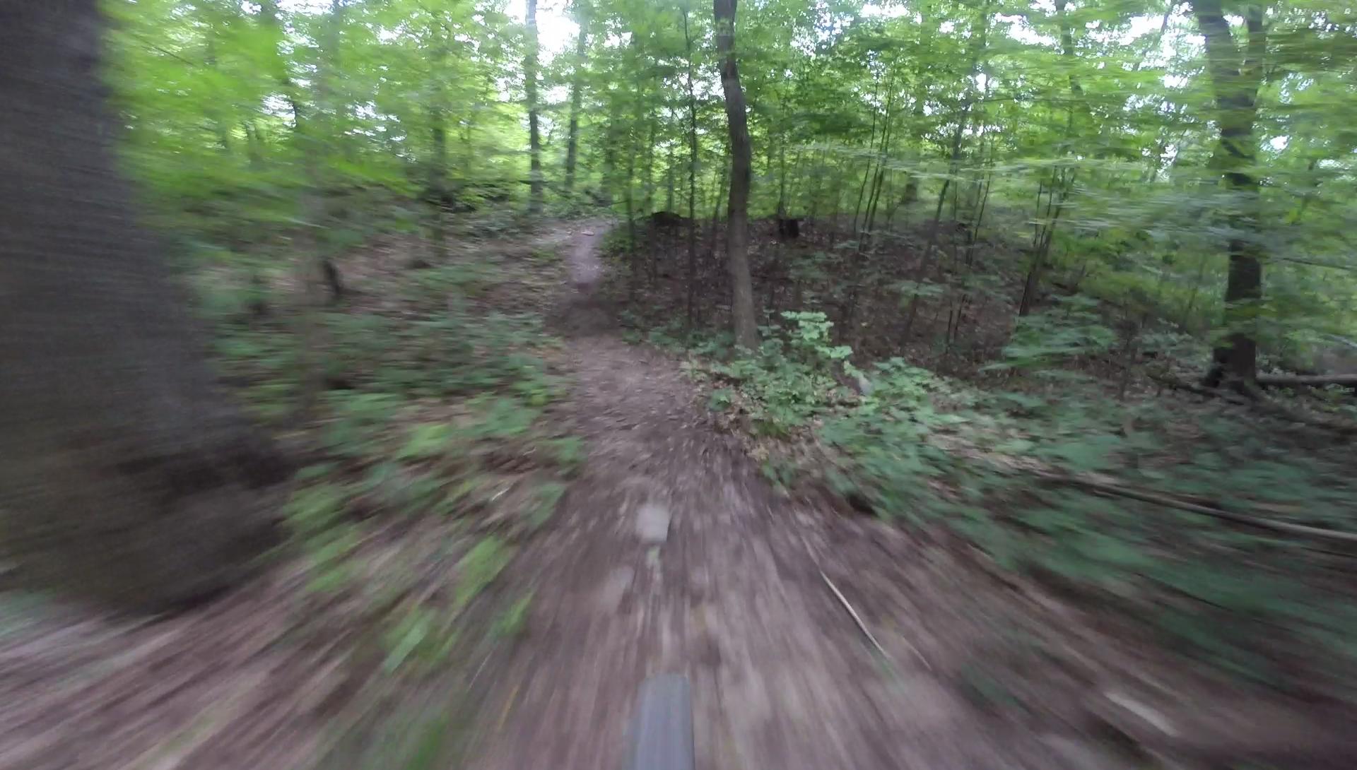 A blurred perspective of a winding dirt trail surrounded by lush green trees in a forest setting, suggesting motion through the woods, likely from a mountain bike or running trail. Kittatiny Valley State Park mountain bike trail.