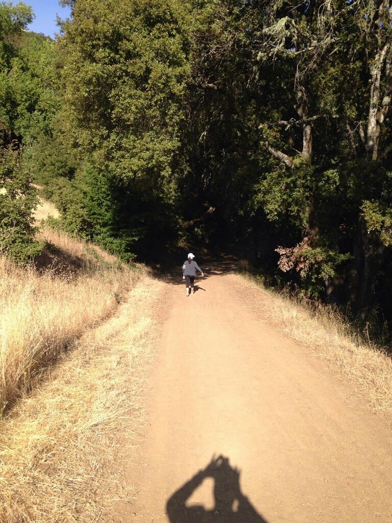 A person walking on a dirt path surrounded by trees, with sunlight filtering through the foliage. The path is lined with dry grass, and a shadow of a hand is visible in the foreground. Monte Bello / Rancho San Antonio mountain bike trail.