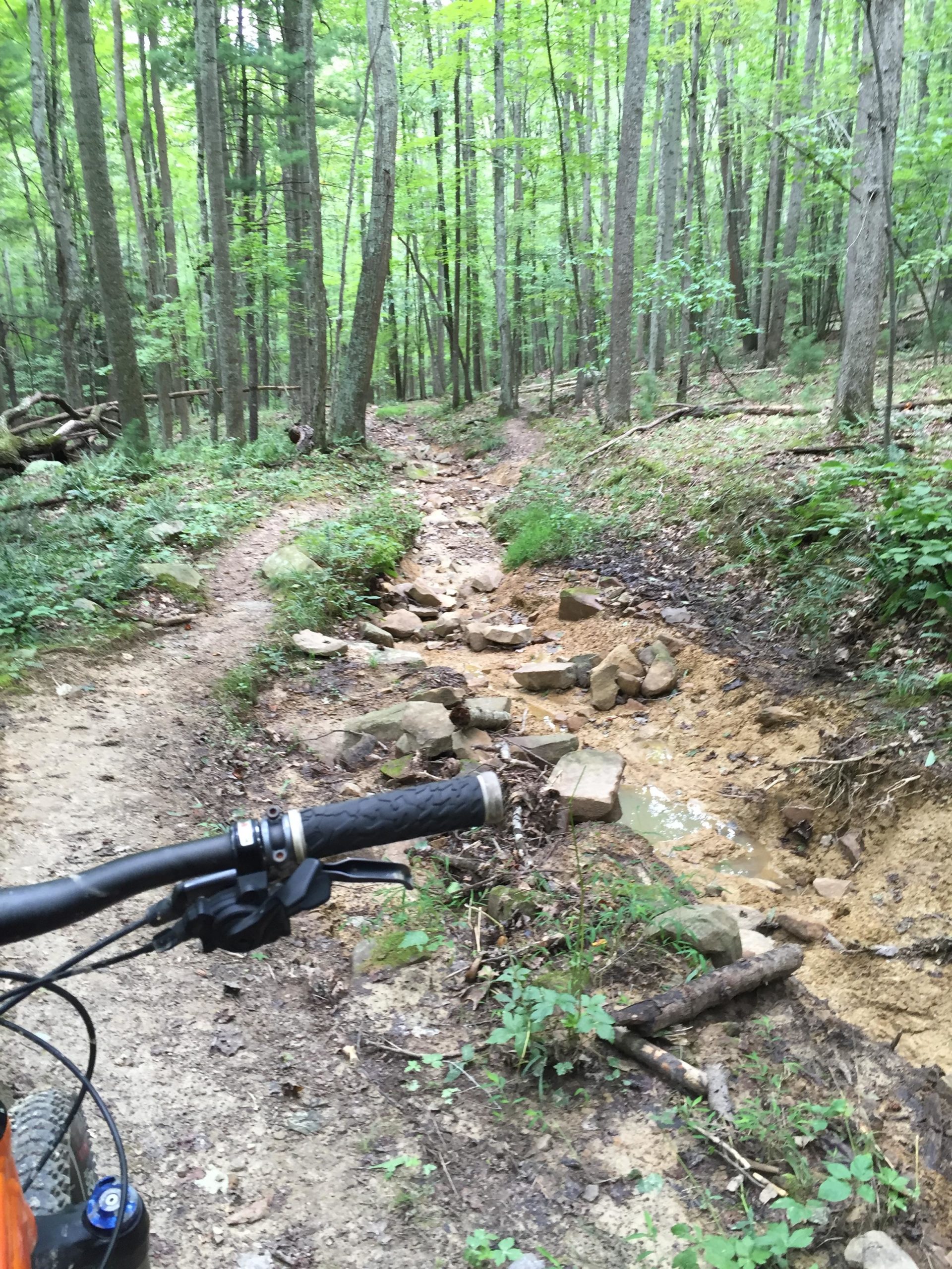 A close-up view of a mountain bike handlebar on a rugged trail winding through a densely wooded area. The trail features a rocky section with exposed stones and patches of dirt, surrounded by lush green foliage and tall trees in the background. County line / River view trail mountain bike trail.