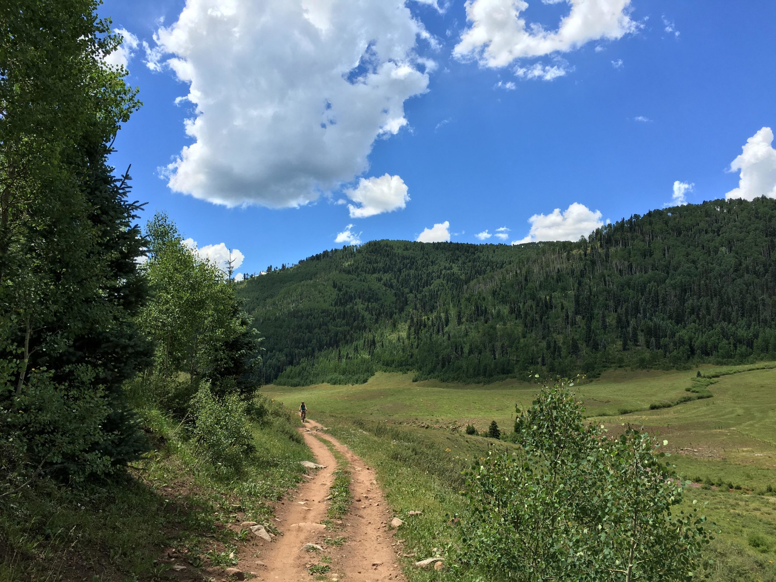 A winding dirt trail leads through a lush green meadow, bordered by trees on either side. The sky above is vibrant blue with fluffy white clouds, and a hiker can be seen walking along the path in the distance, surrounded by rolling hills and dense forest. Hermosa Creek Trail mountain bike trail.