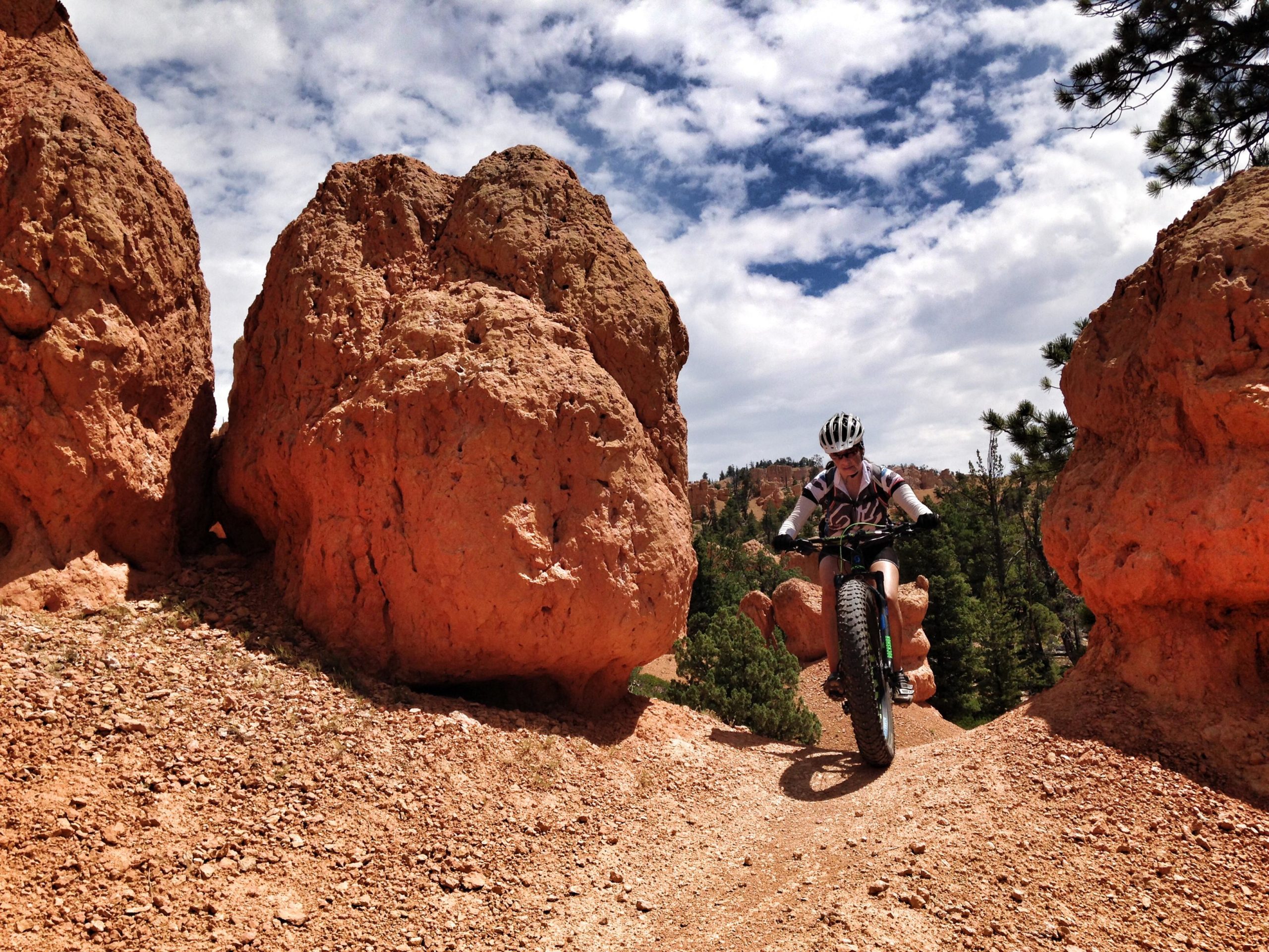 A cyclist riding a fat bike on a narrow dirt trail between large, reddish rock formations, with green pine trees and a blue sky in the background. Thunder Mountain mountain bike trail.