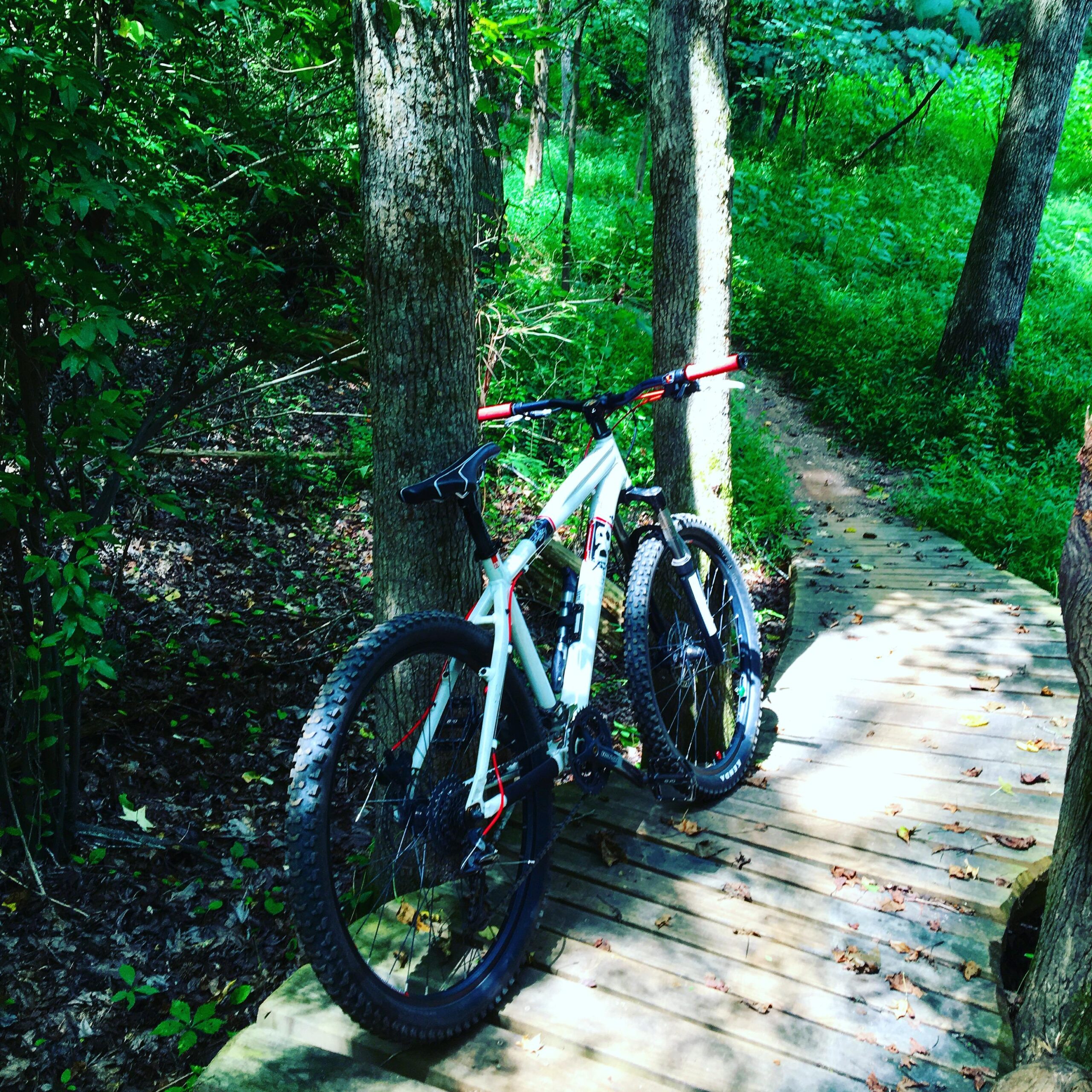A mountain bike resting on a wooden path in a lush, green forest, surrounded by tall trees and dense foliage. The sun filters through the leaves, creating a dappled light effect on the ground. Fisher Farm Park mountain bike trail.
