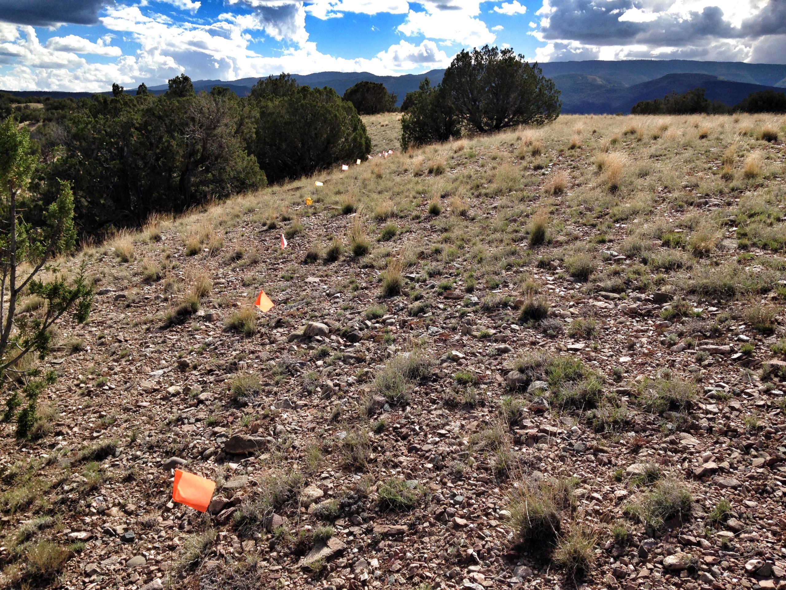 A hillside covered in sparse grass and rocks, marked by small orange and yellow flags indicating specific locations. In the background, a line of bushes is visible, along with a distant view of mountains under a partly cloudy sky. Golden Open Space mountain bike trail.