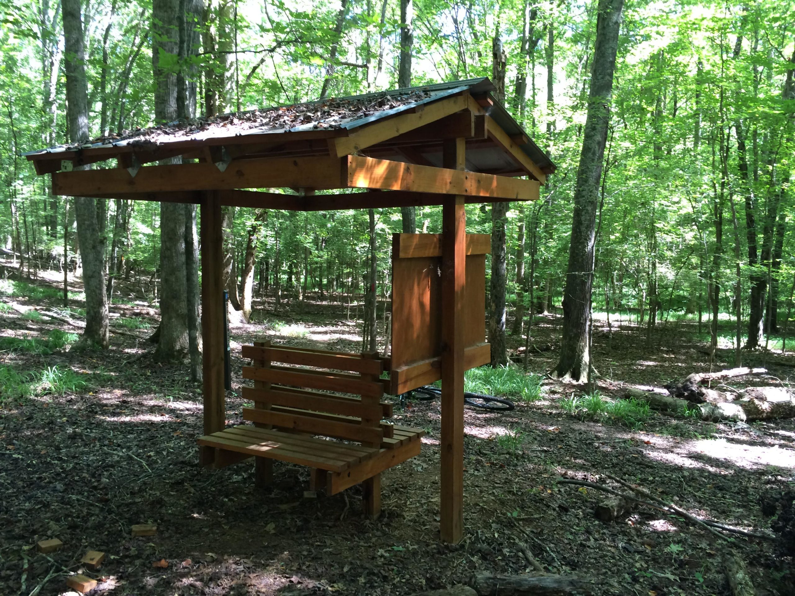 Wooden shelter with a bench beneath a roof covered in leaves, situated in a dense green forest with tall trees and dappled sunlight filtering through the foliage. The Ridge Nature Area mountain bike trail.