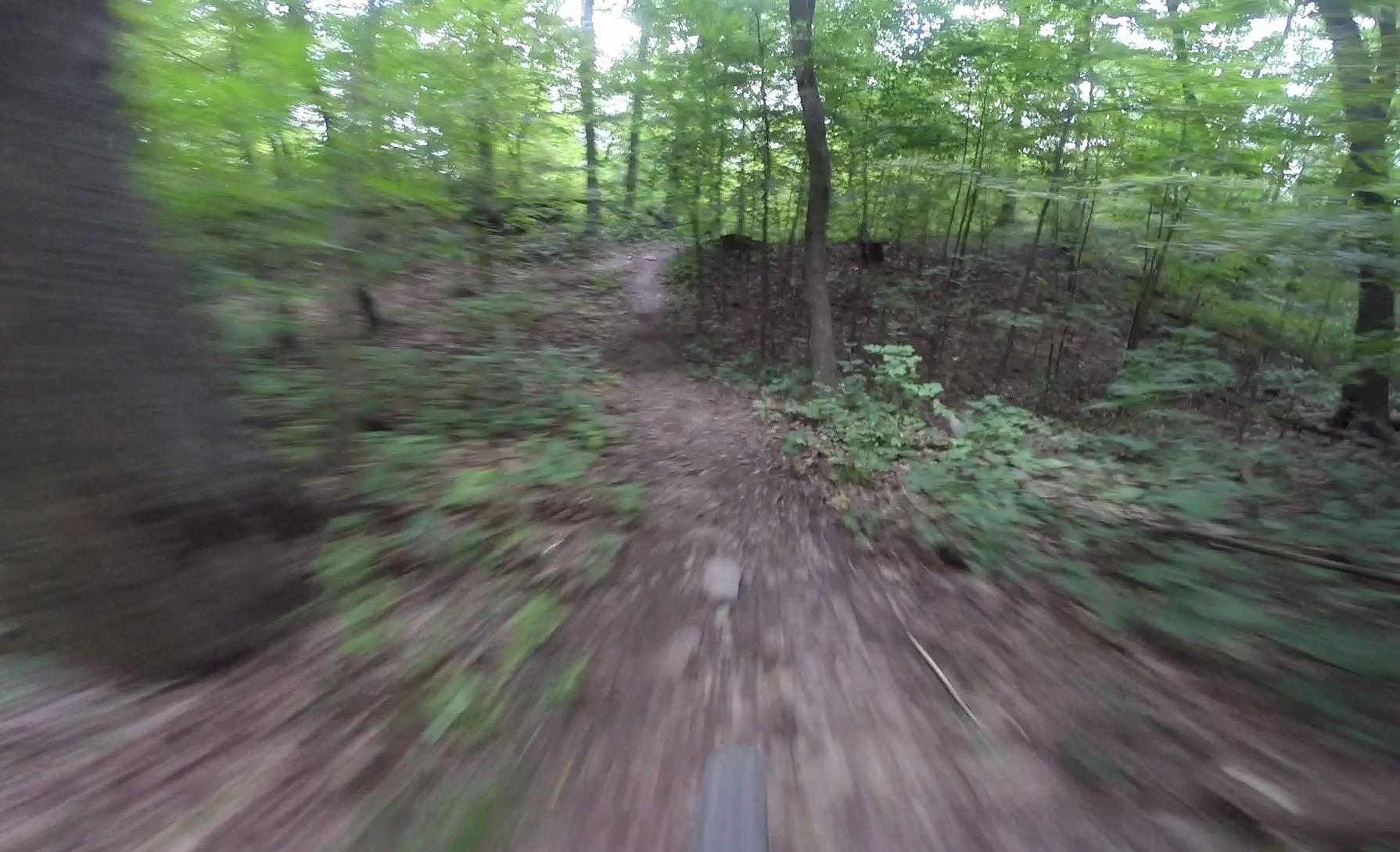 A blurred view of a dirt biking trail winding through a lush green forest, with trees lining the path and sunlight filtering through the leaves. The image captures a sense of motion, indicating a dynamic biking experience. Kittatiny Valley State Park mountain bike trail.
