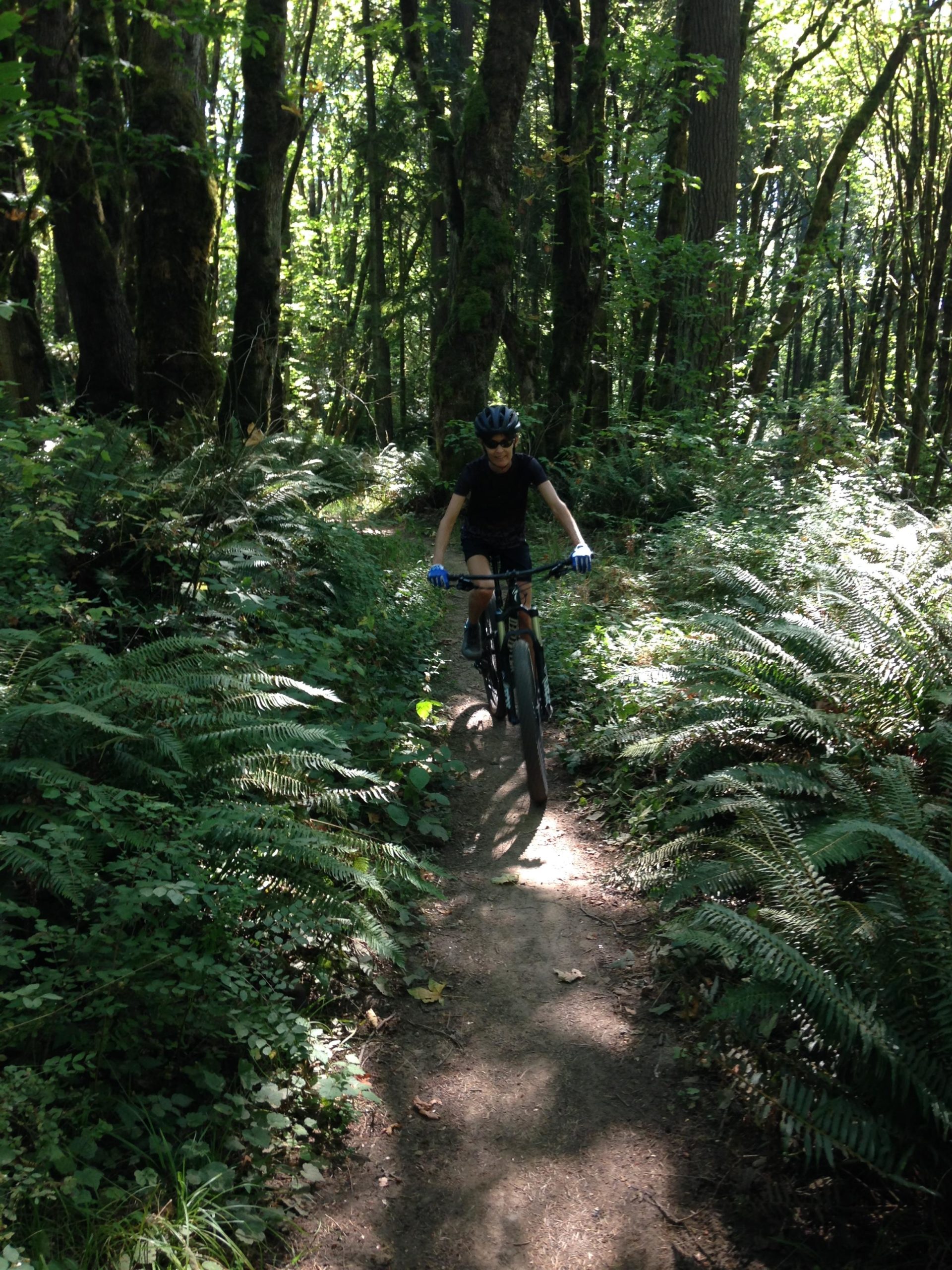 A person riding a mountain bike along a narrow dirt trail surrounded by lush greenery and tall trees in a forested area. The sunlight filters through the leaves, creating dappled light on the path. Ferns and underbrush line the trail, adding to the natural setting. Round Lake mountain bike trail.
