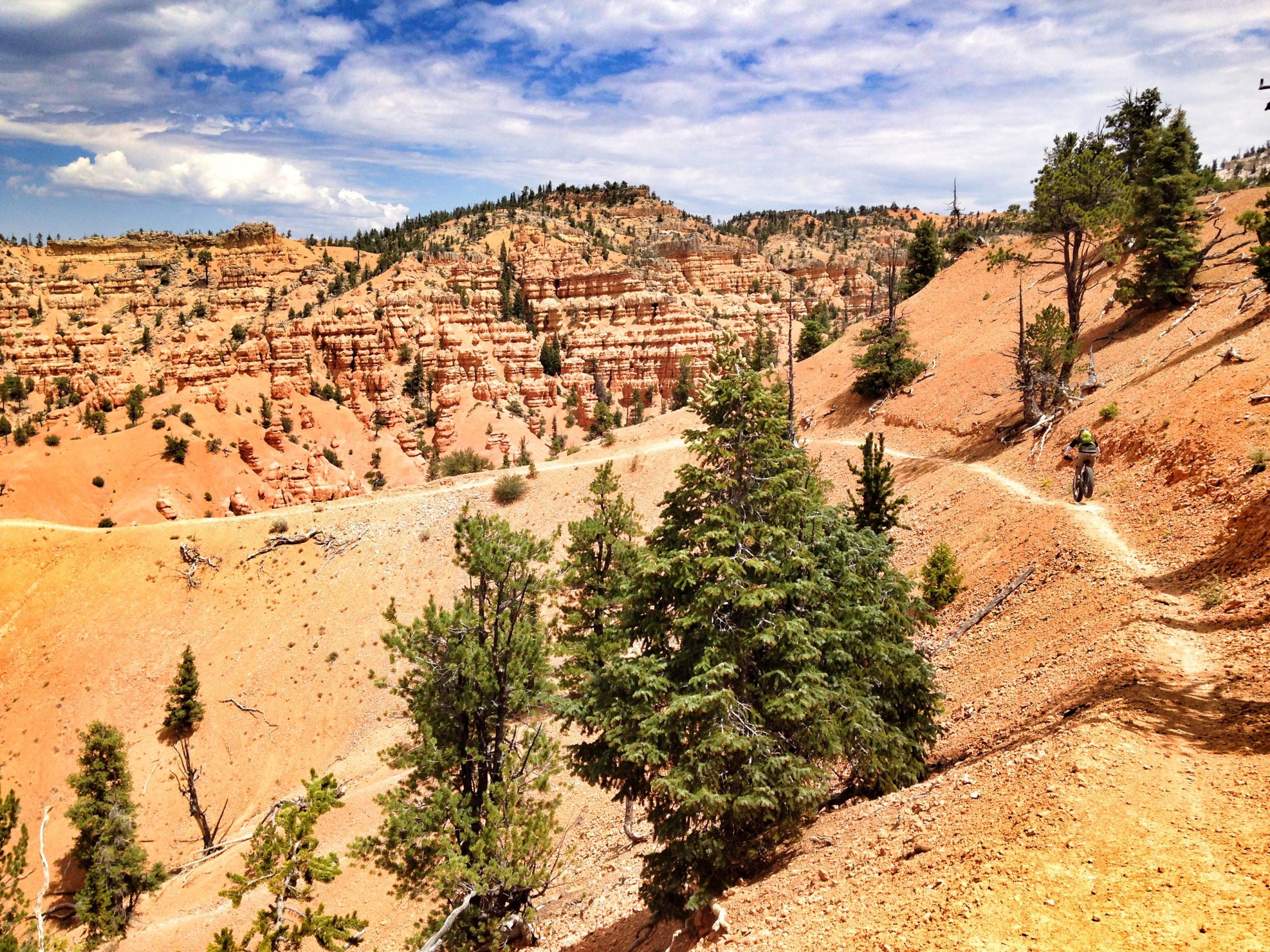 A mountain biker rides along a winding dirt trail in a rocky, desert landscape with orange and red rock formations and green coniferous trees. The sky is partly cloudy, and the terrain showcases a mix of hills and valleys, typical of a natural park. Thunder Mountain mountain bike trail.