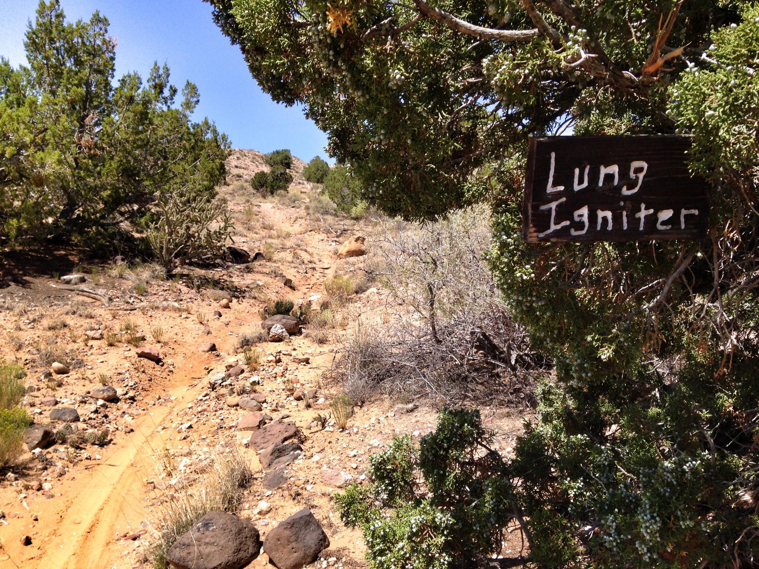 A dirt trail winding through a desert landscape, bordered by shrubs and rocky terrain. A wooden sign reading "Lung Igniter" is prominently displayed on a tree to the right, indicating the name of the trail. The clear blue sky overhead completes the outdoor scene. Lung Igniter Trail mountain bike trail.