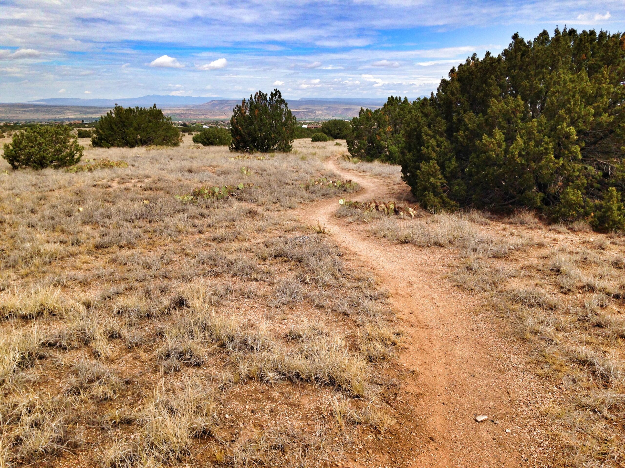 A winding dirt path traverses a dry, grassy landscape dotted with low shrubs and cacti, set against a backdrop of distant mountains under a partly cloudy sky. Juniper Berry Run mountain bike trail.