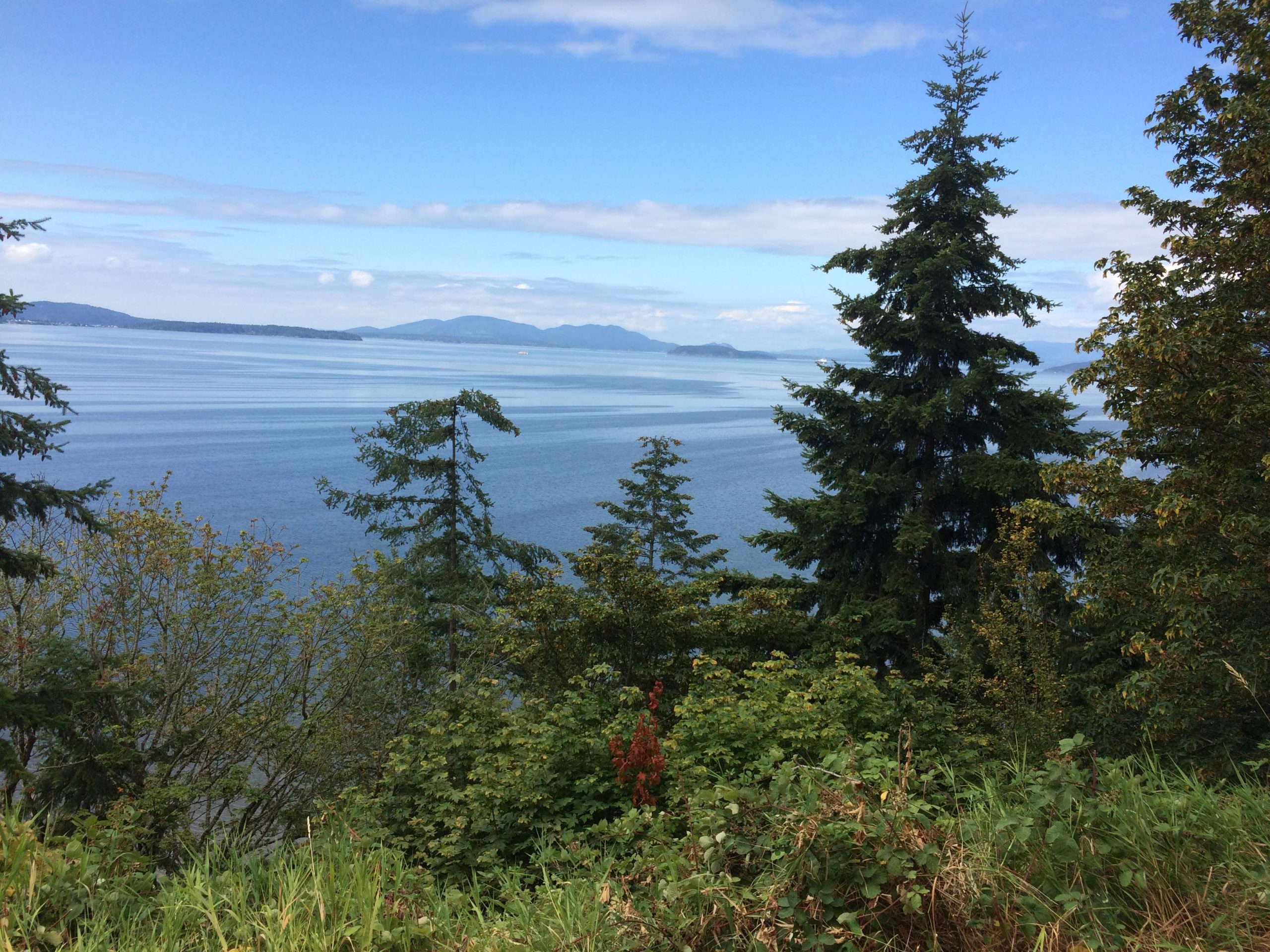 A scenic view of calm water and distant mountains under a partly cloudy sky, framed by lush green trees and shrubs in the foreground. Chuckanuts mountain bike trail.