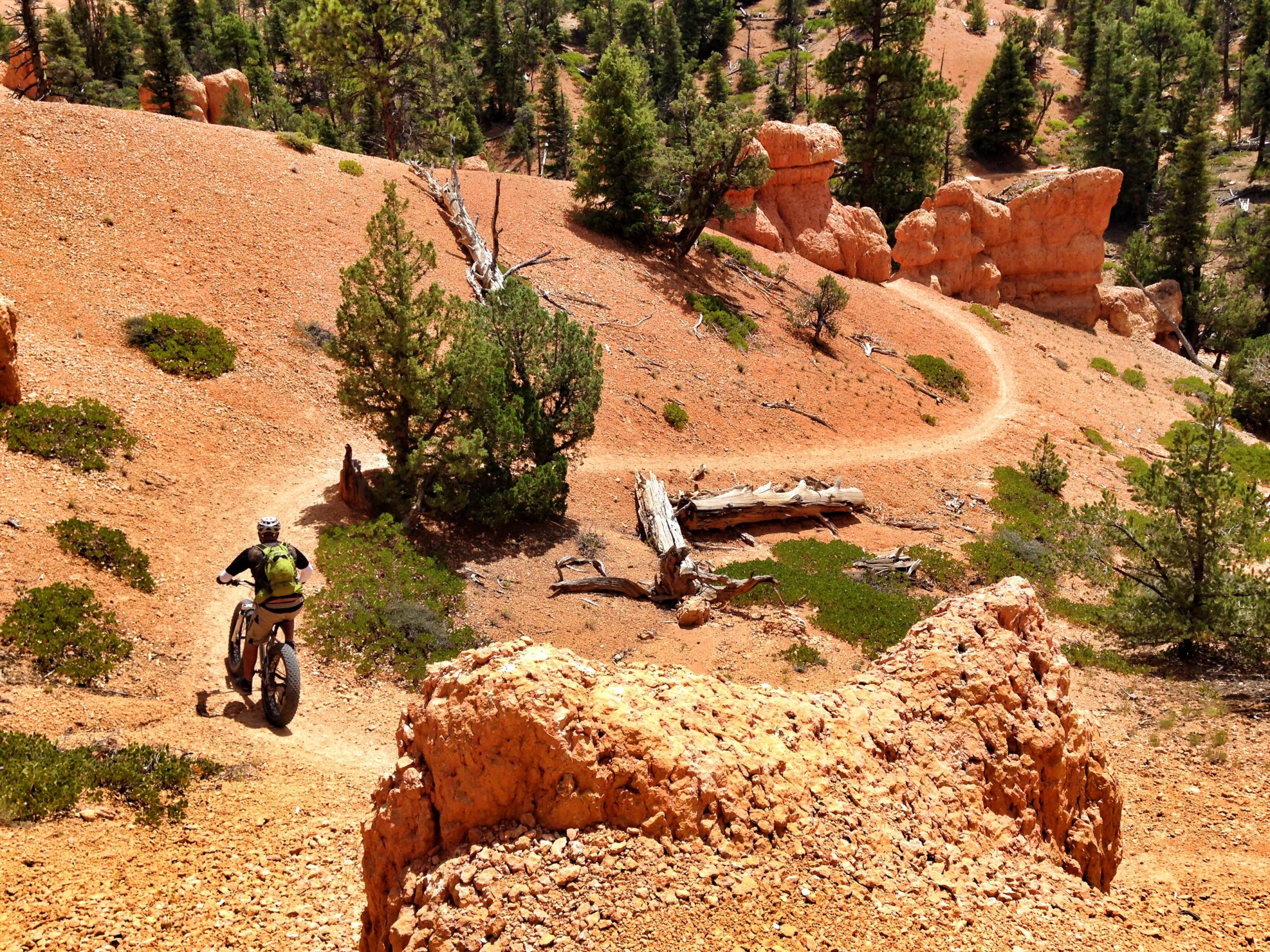 A mountain biker navigating a winding dirt trail through a rugged orange landscape, surrounded by trees and rock formations, with a clear blue sky in the background. Thunder Mountain mountain bike trail.
