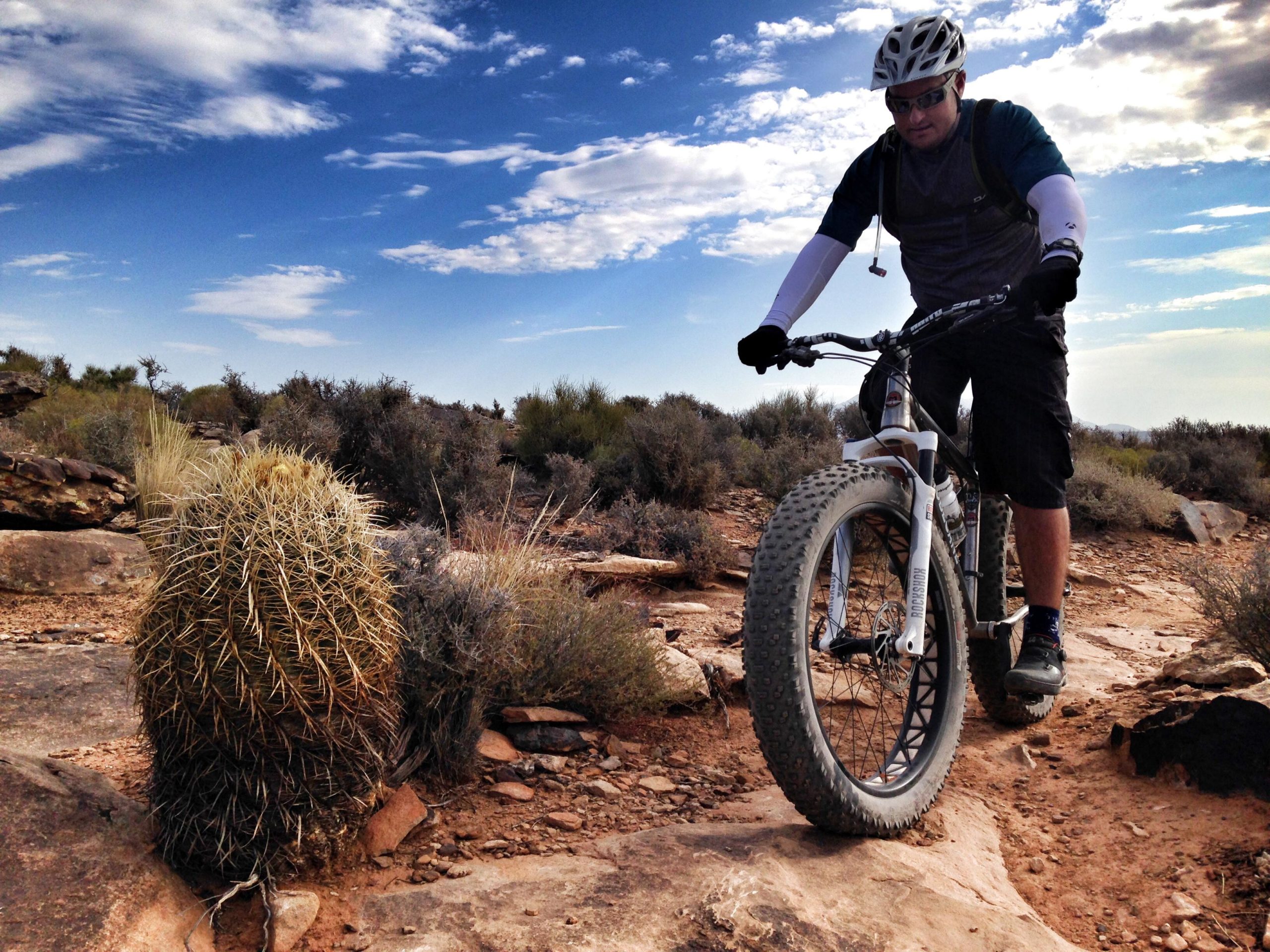 A person riding a fat-tire mountain bike on a rocky trail in a desert landscape, with a cactus and sparse vegetation in the foreground and a clear blue sky in the background. Barrel Roll mountain bike trail.