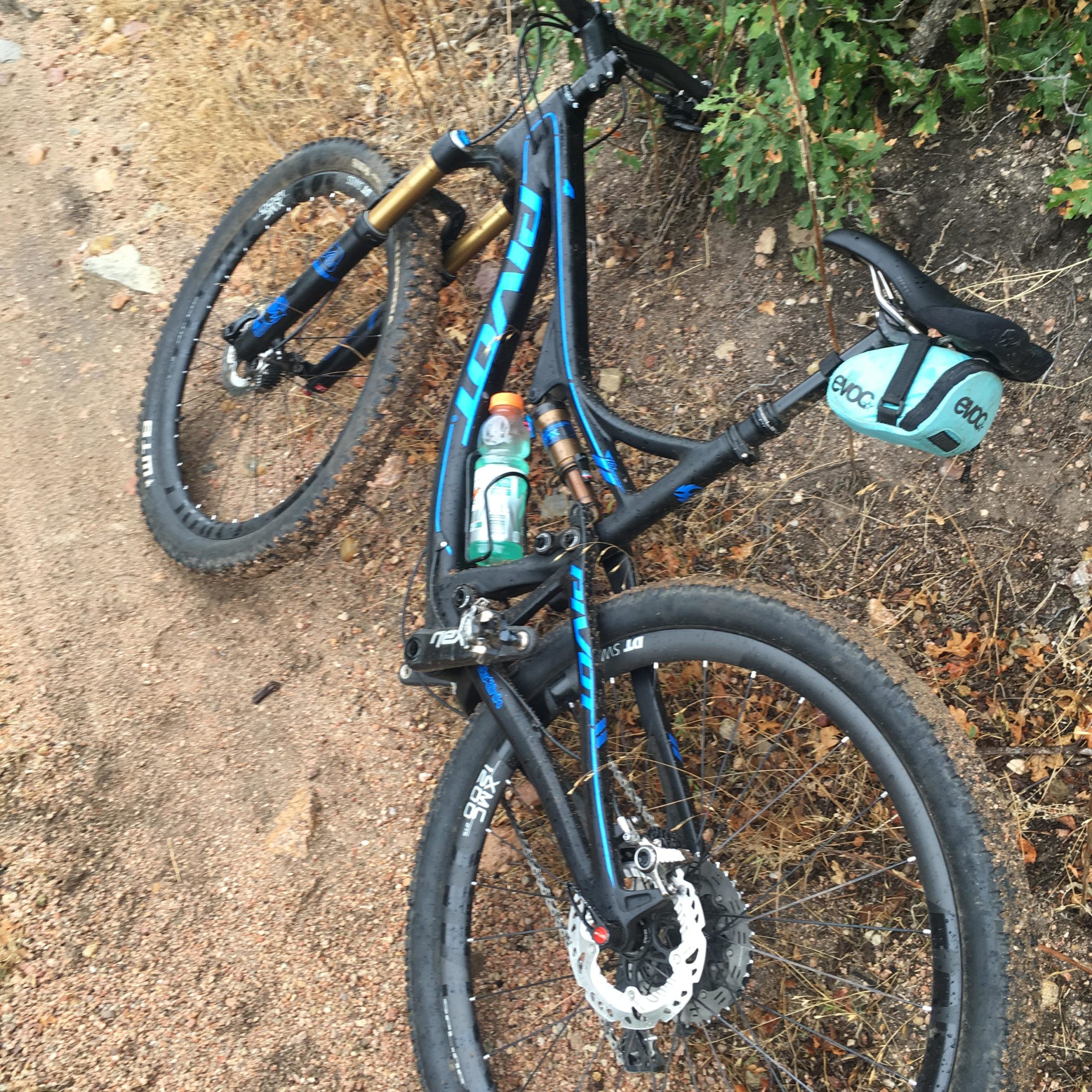Alt tag: A mountain bike lying on a dirt path, partially obscured by foliage, with a bottle of Gatorade and a helmet resting on the frame. Phillip S. Miller Park mountain bike trail.