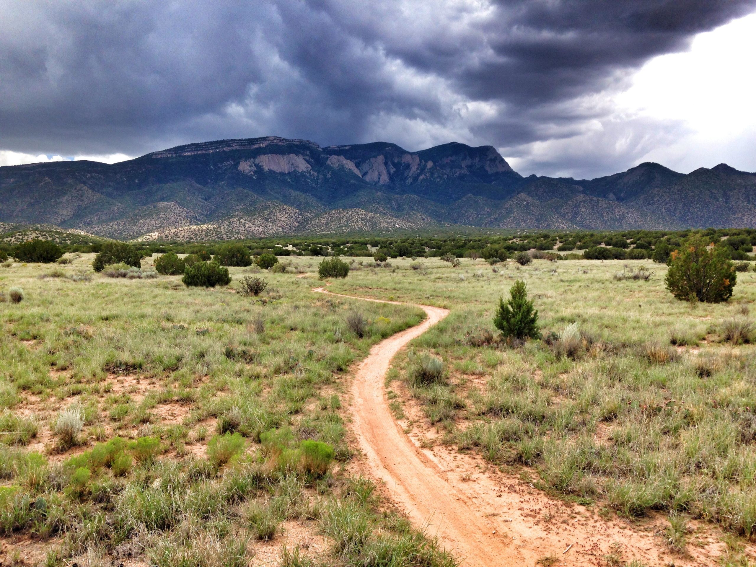 A winding dirt path leads through a grassy landscape, bordered by patches of shrubs, towards a backdrop of rugged mountains under a cloudy sky. Placitas Trails mountain bike trail.